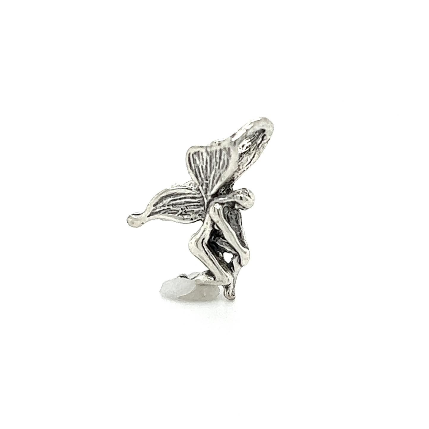 
                  
                    A Super Silver Fairy Charms ring, filled with enchantment and magic, against a white background.
                  
                