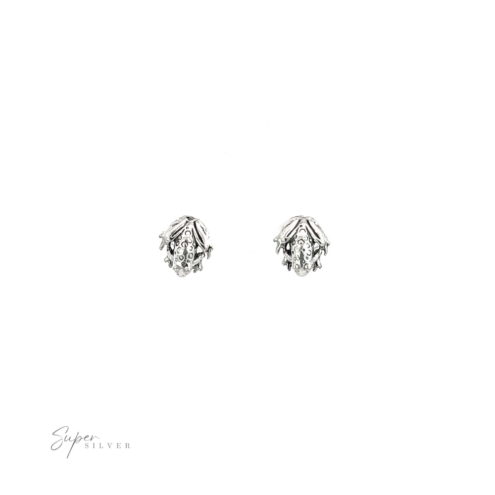
                  
                    A pair of silver Frog Studs earrings on a white background, perfect accessories for nature lovers.
                  
                