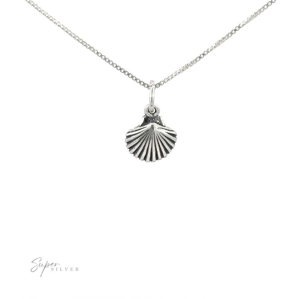 Seashell Charm pendant on a chain necklace.