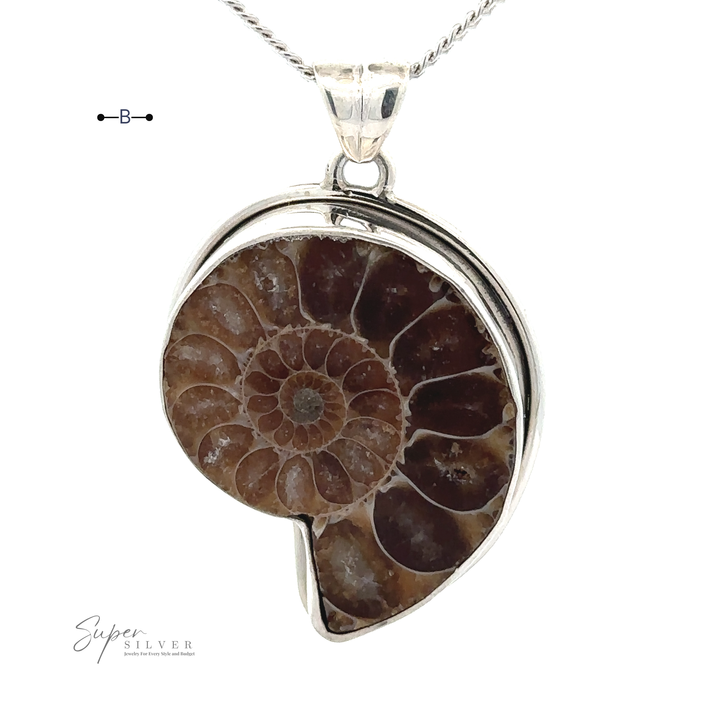 A chain necklace with a Nautilus Pendant featuring a fossilized ammonite set in sterling silver.