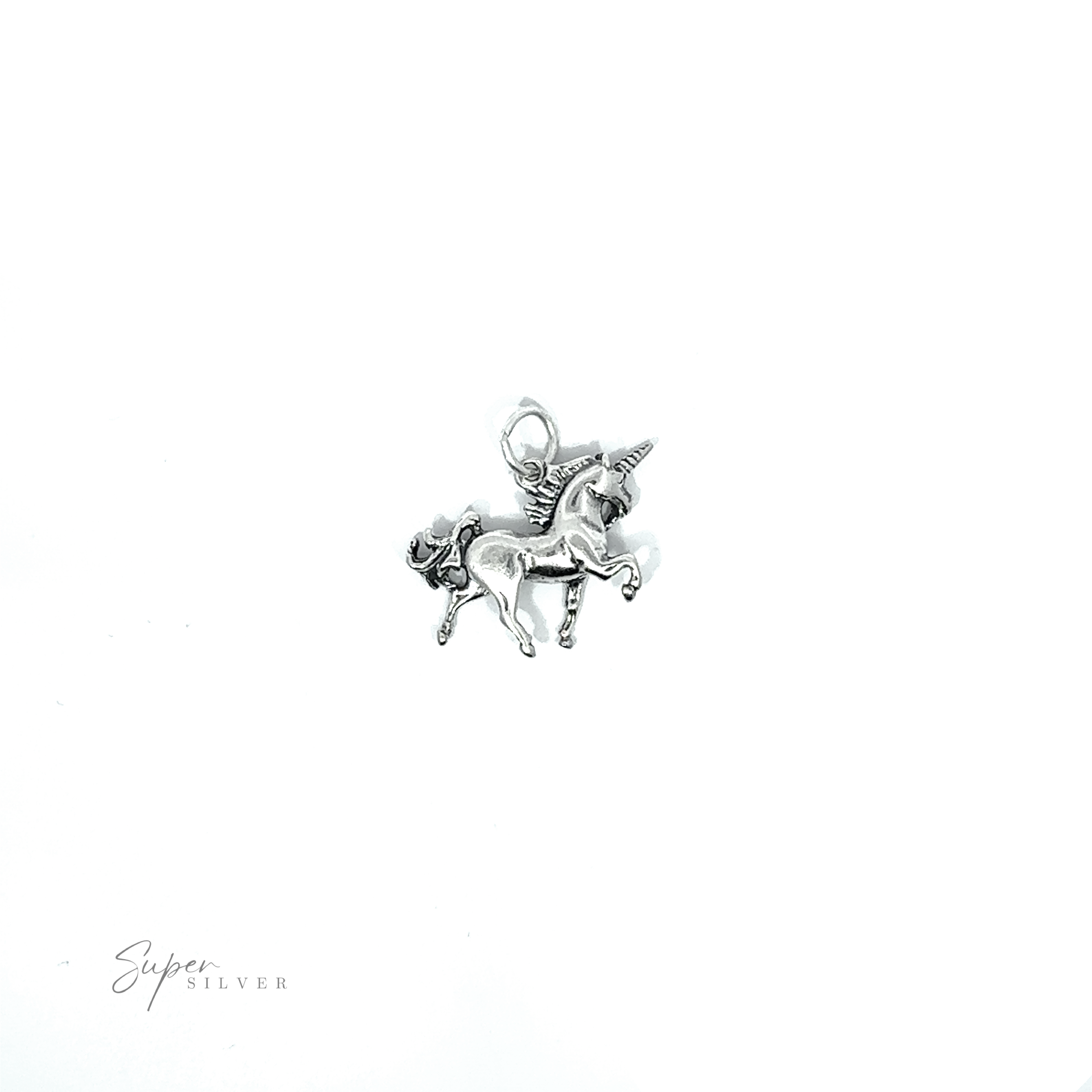A reversible Unicorn Charm on a white background.