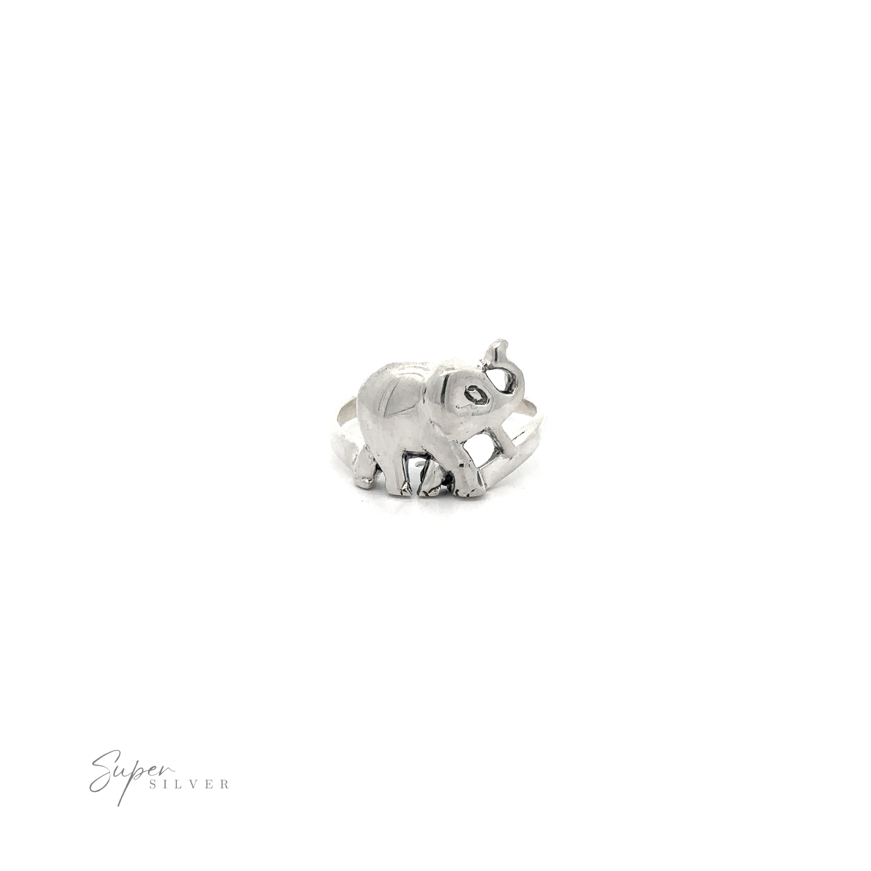 Elephant Ring Trunk Up on a white background.