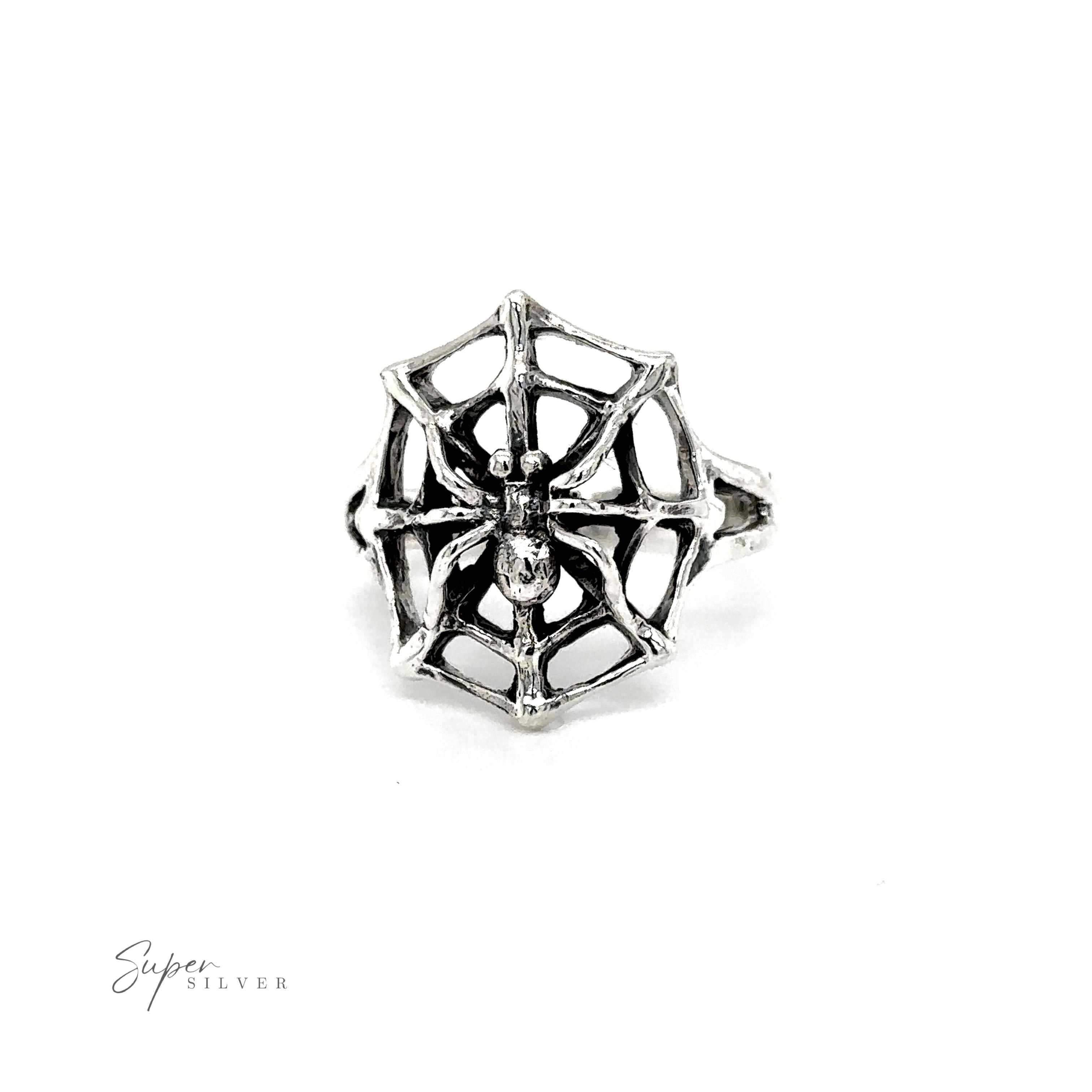 A Spider on Web Ring on a white background.