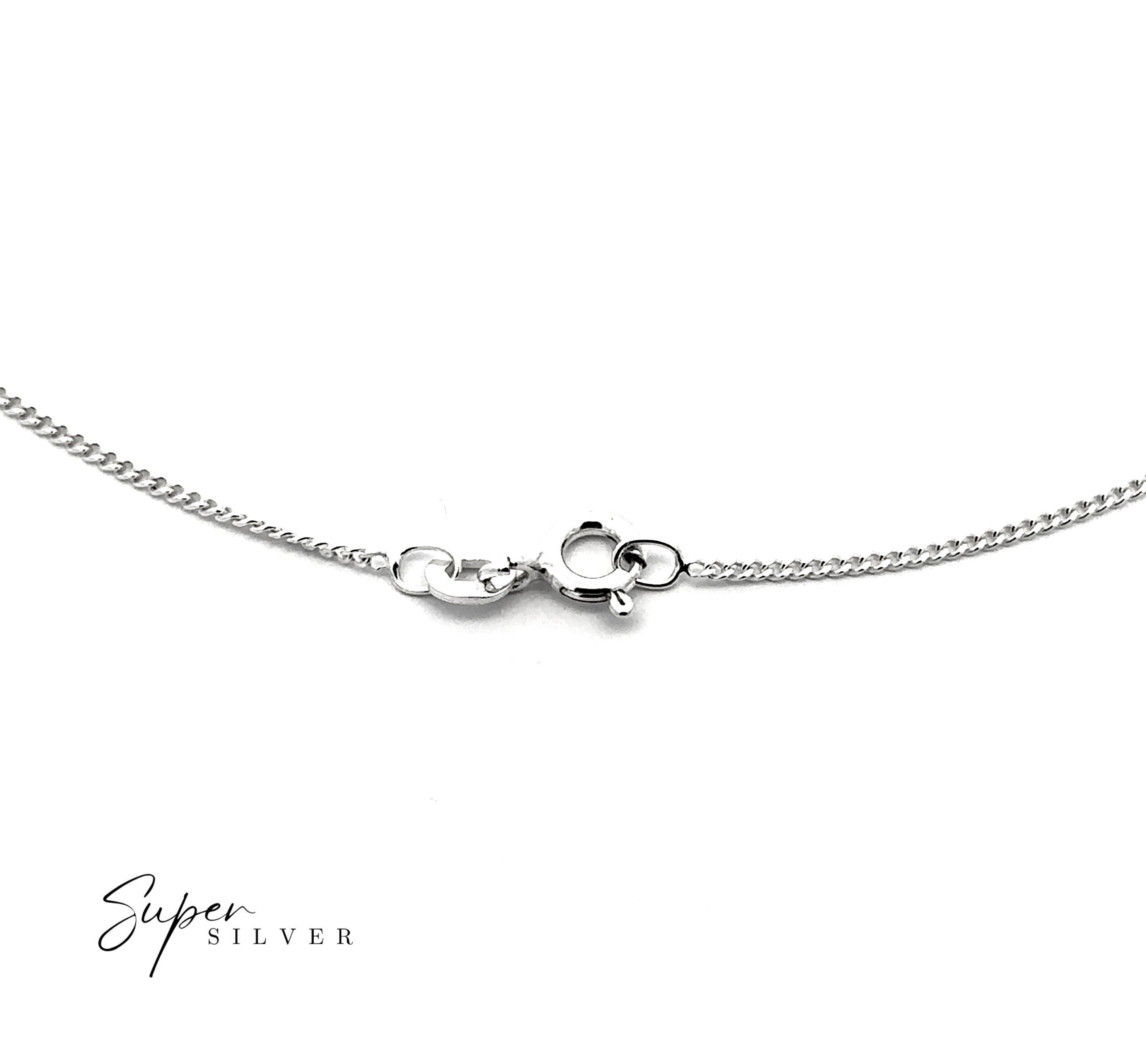 Close-up of the Dainty Italian Curb Chain, a sterling silver necklace with a lobster clasp, shown on a white background. "Super Silver" is displayed in the bottom left corner.