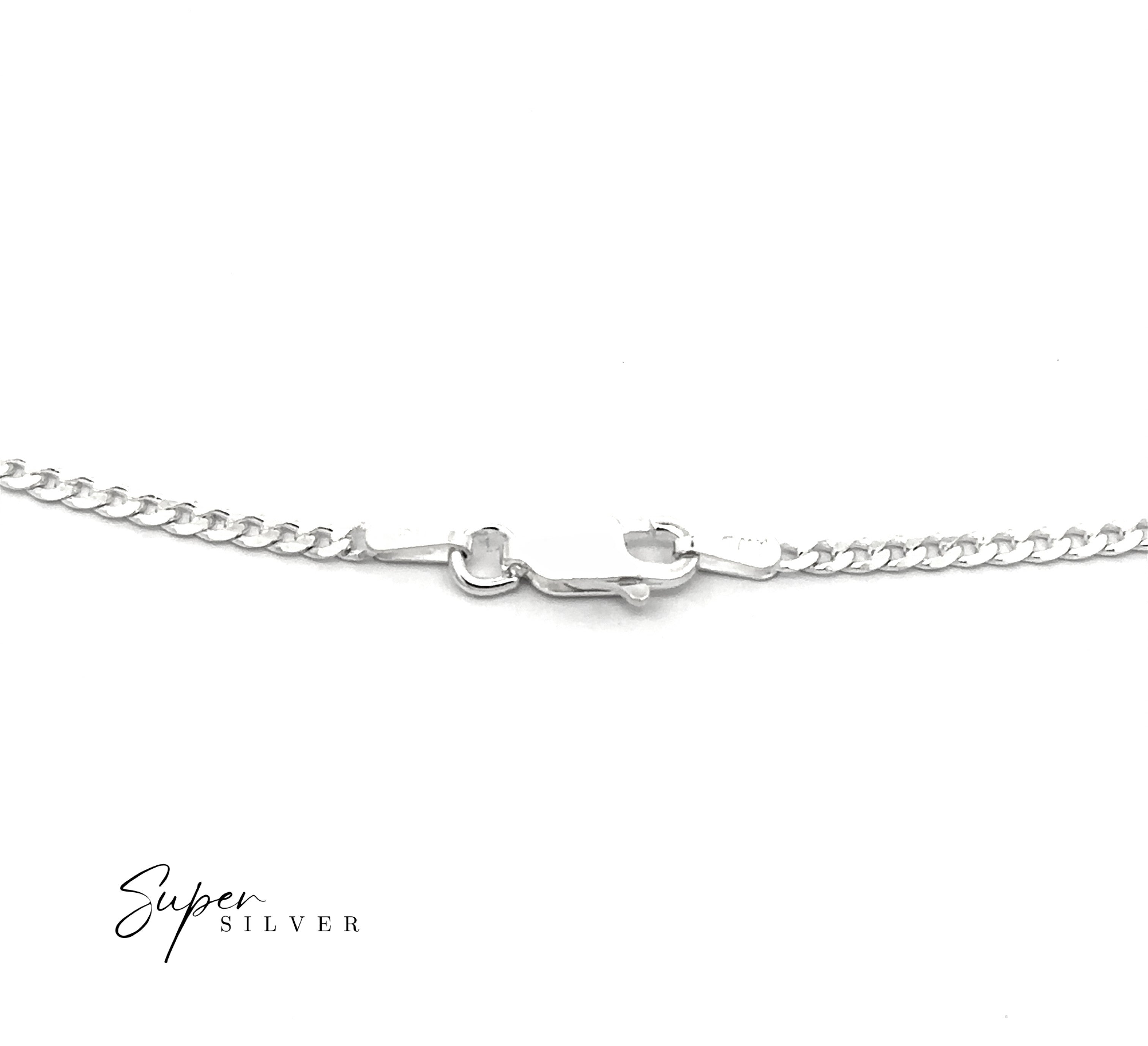 Close-up of the Thin Italian Curb Chain sterling silver necklace with a lobster clasp on a white background; "Super Silver" logo appears in the bottom left corner.