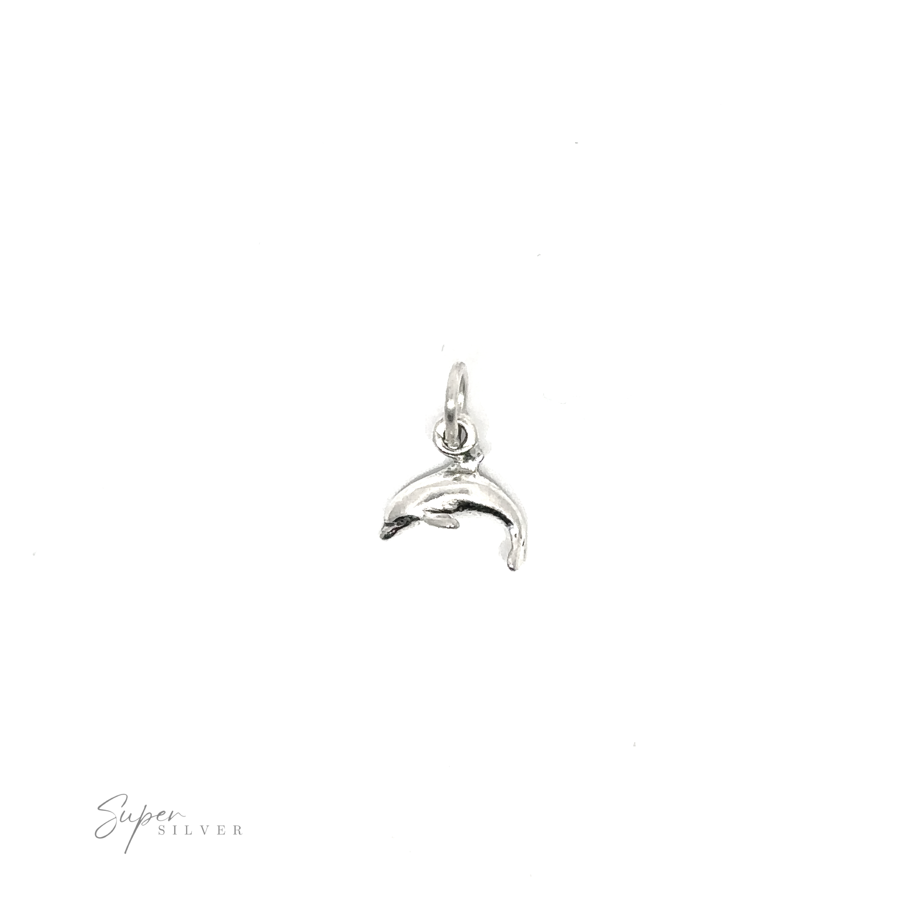 A minimalist style Tiny Dolphin Charm on a white background.