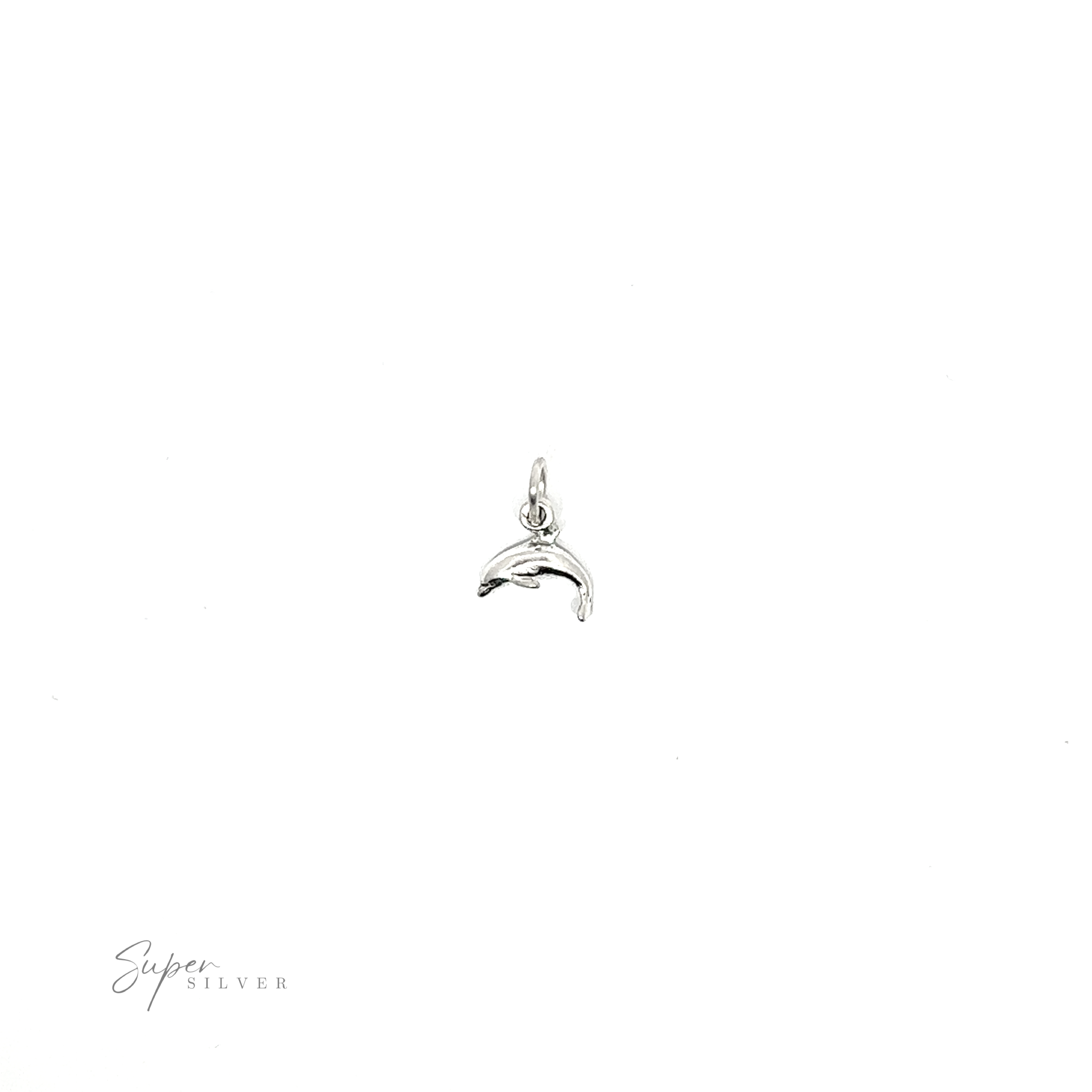 A Tiny Dolphin Charm on a minimalist background.