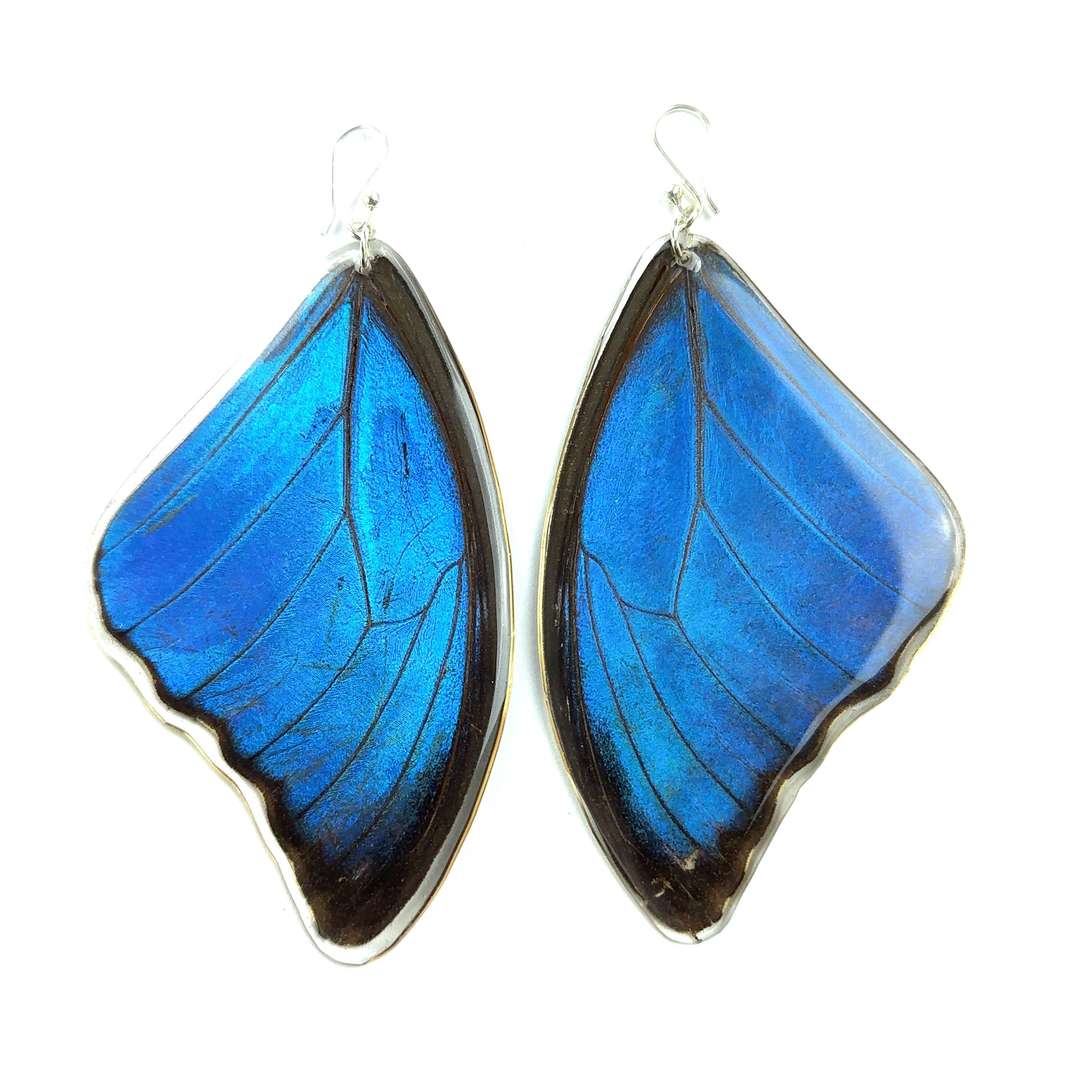 A pair of Large Morpho Butterfly Wing Earrings making a statement on a white background.