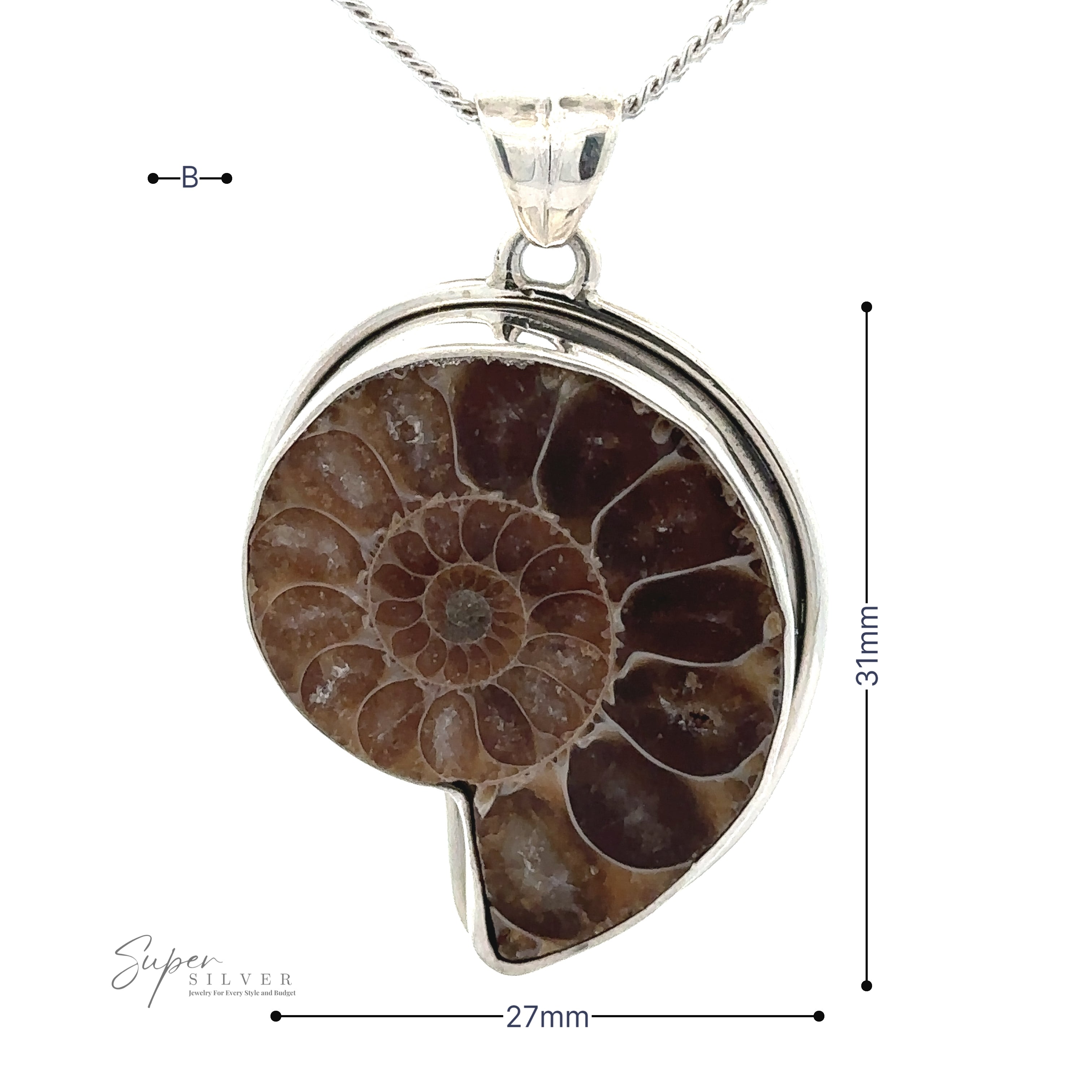 This Nautilus Pendant features a polished brown ammonite fossil set in sterling silver on a chain. Measuring 31mm tall by 27mm wide, it’s an ideal piece of natural history jewelry for fossil and Nautilus pendant enthusiasts.