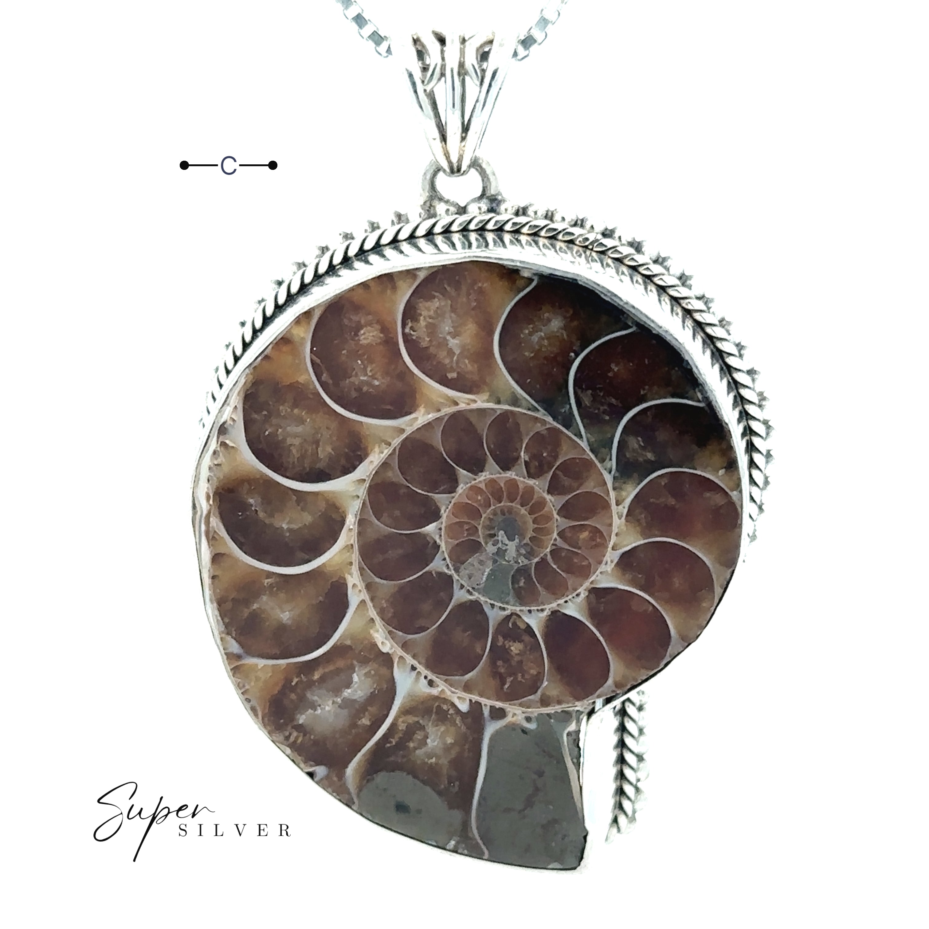 The Nautilus Pendant is a sterling silver necklace featuring a polished ammonite fossil with visible spiral chambers, set in an ornate frame—a stunning piece of fossil jewelry.