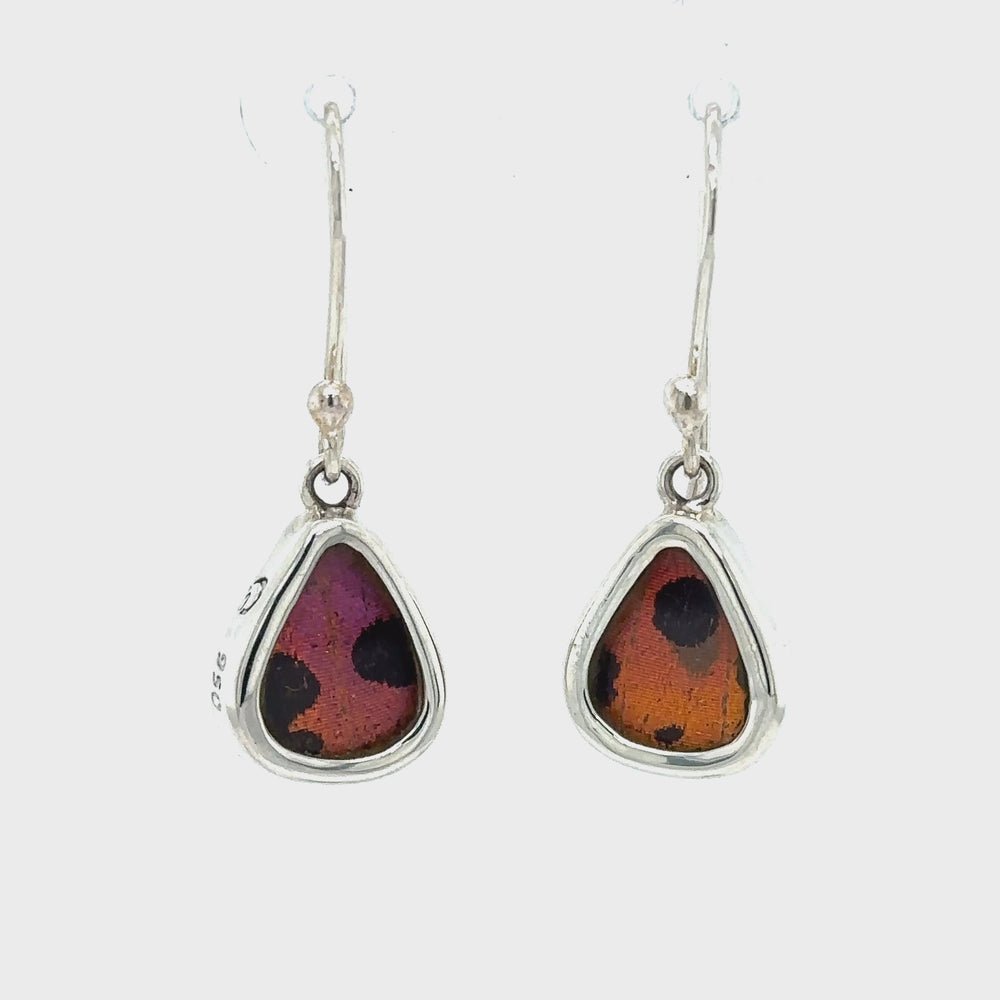 
                  
                    Load and play video in Gallery viewer, Small Wide Teardrop Butterfly Wing Earrings
                  
                