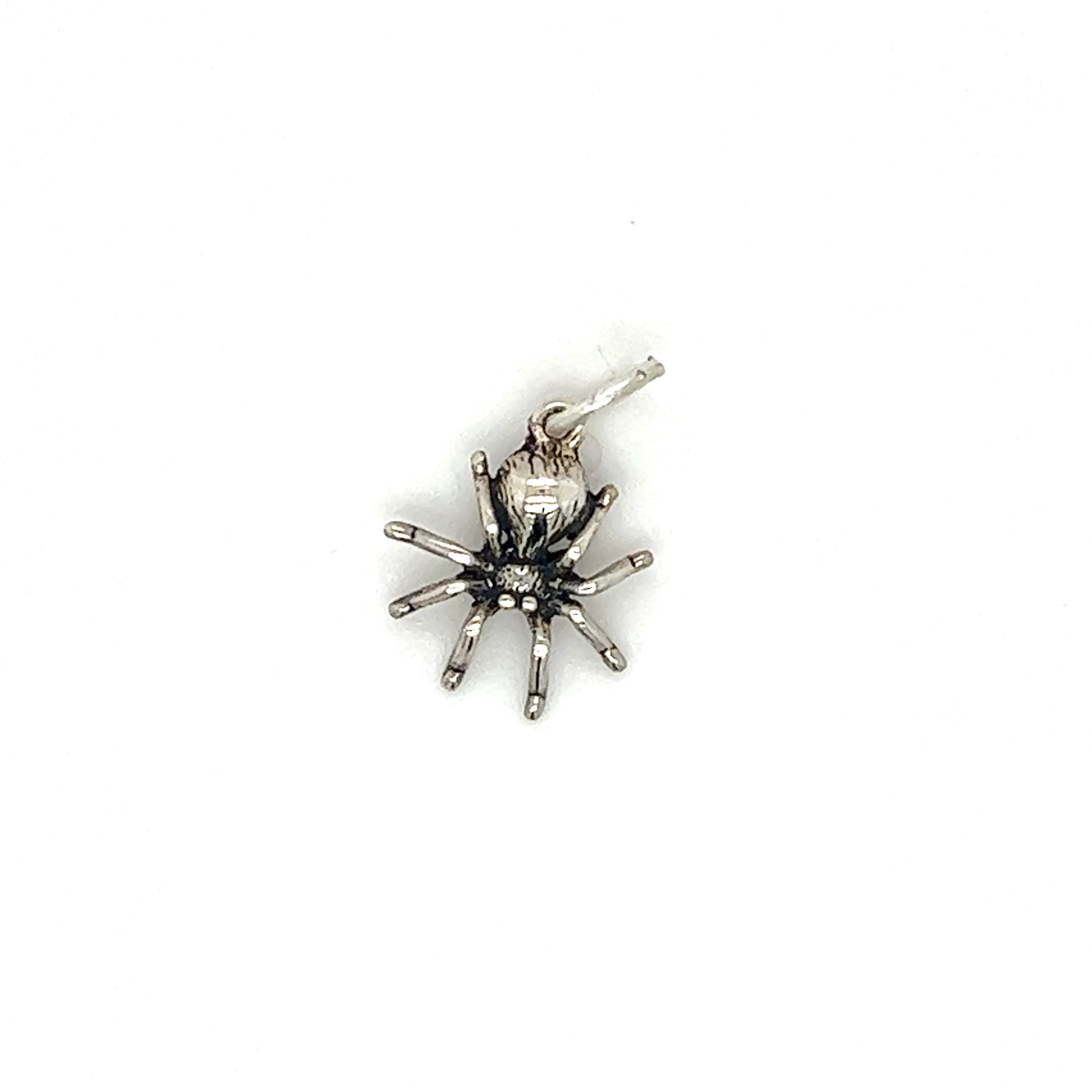 A Tiny Haunting Spider Charm on a white background, giving off spooky witch vibes, by Super Silver.