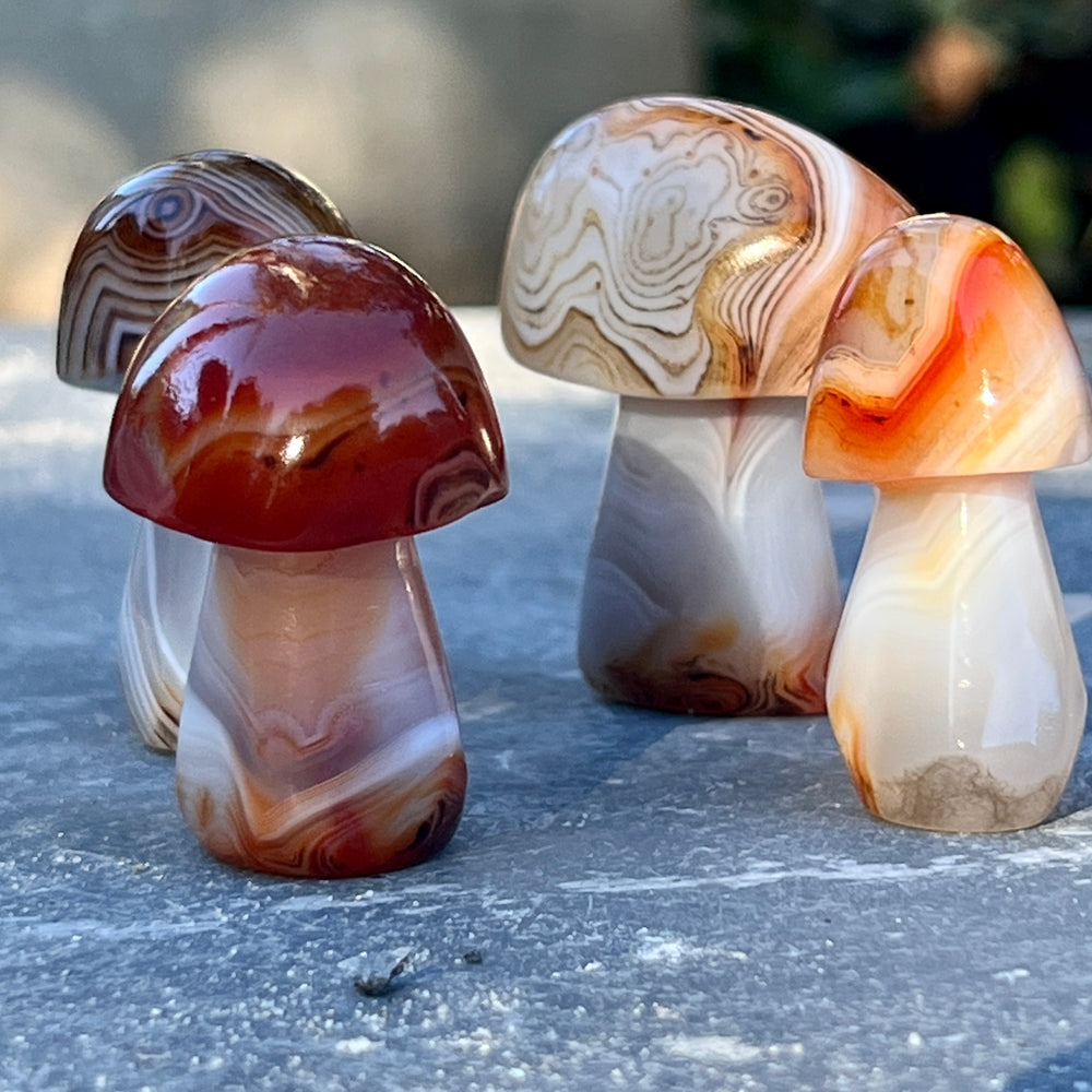 A group of small Banded Carnelian Mushroom Stones on a table, showcasing vibrant orange and red hues.