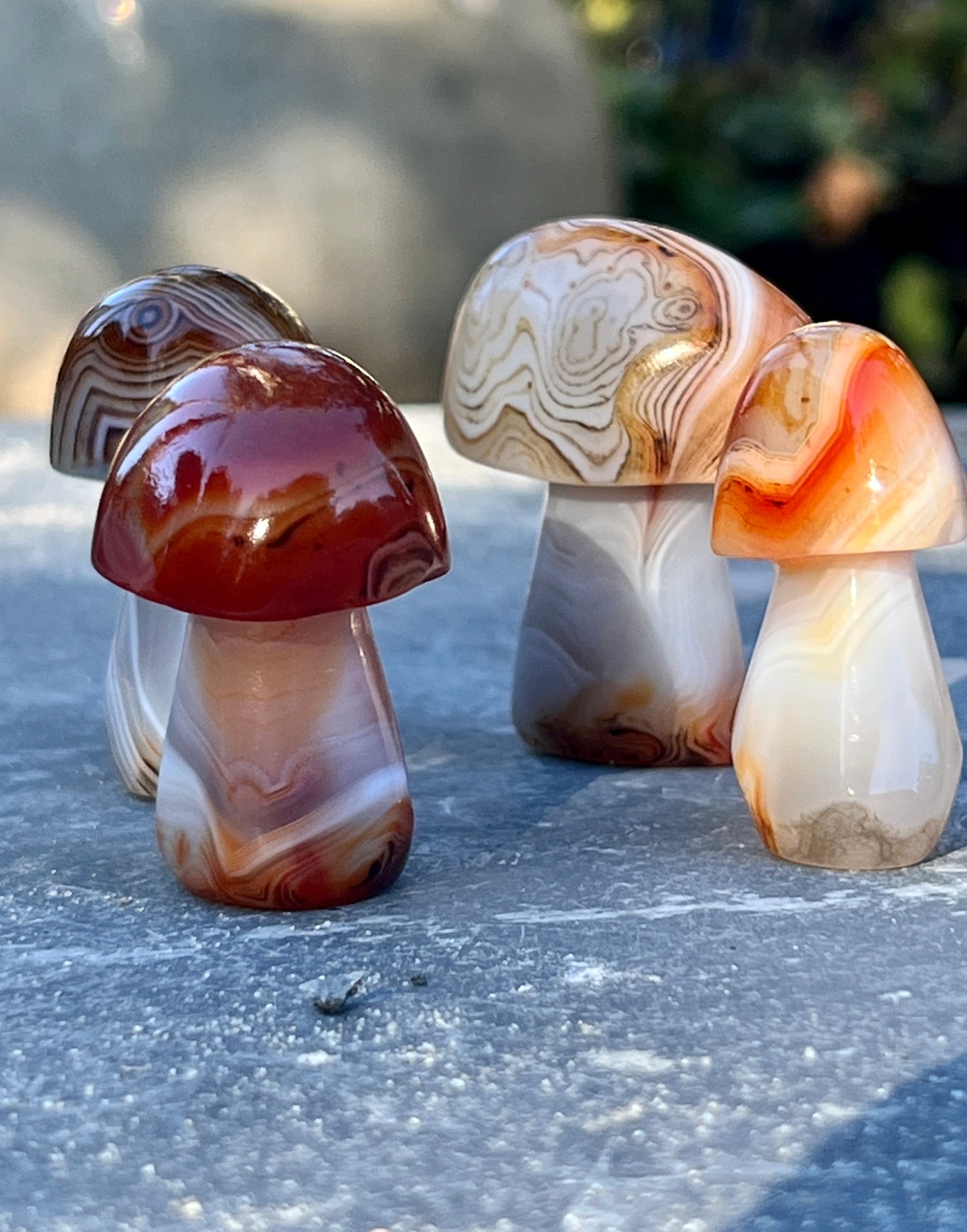 A group of small Banded Carnelian Mushroom Stones on a table, showcasing vibrant orange and red hues.