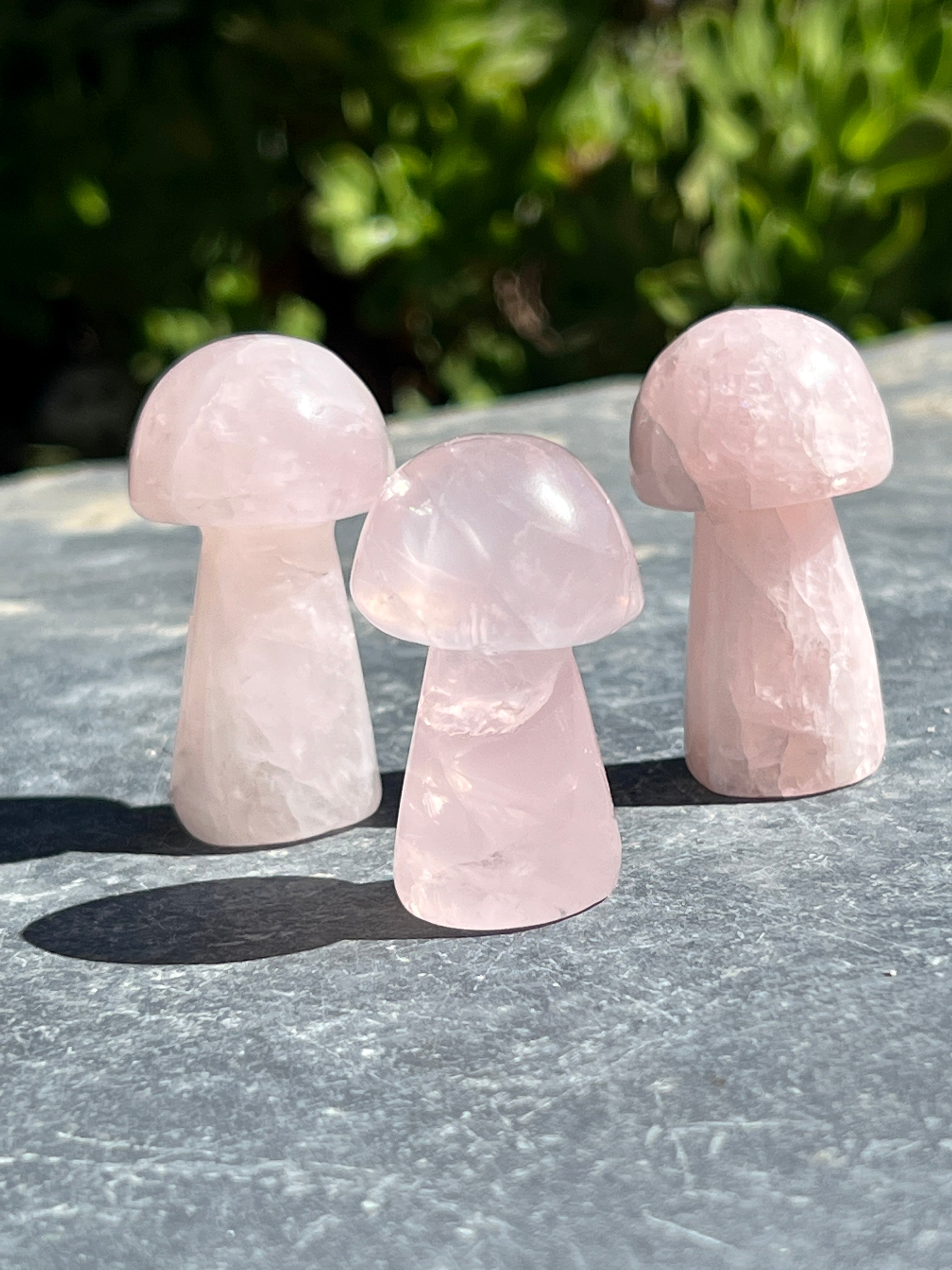 Three Rose Quartz Mushroom decor sitting on a concrete surface.