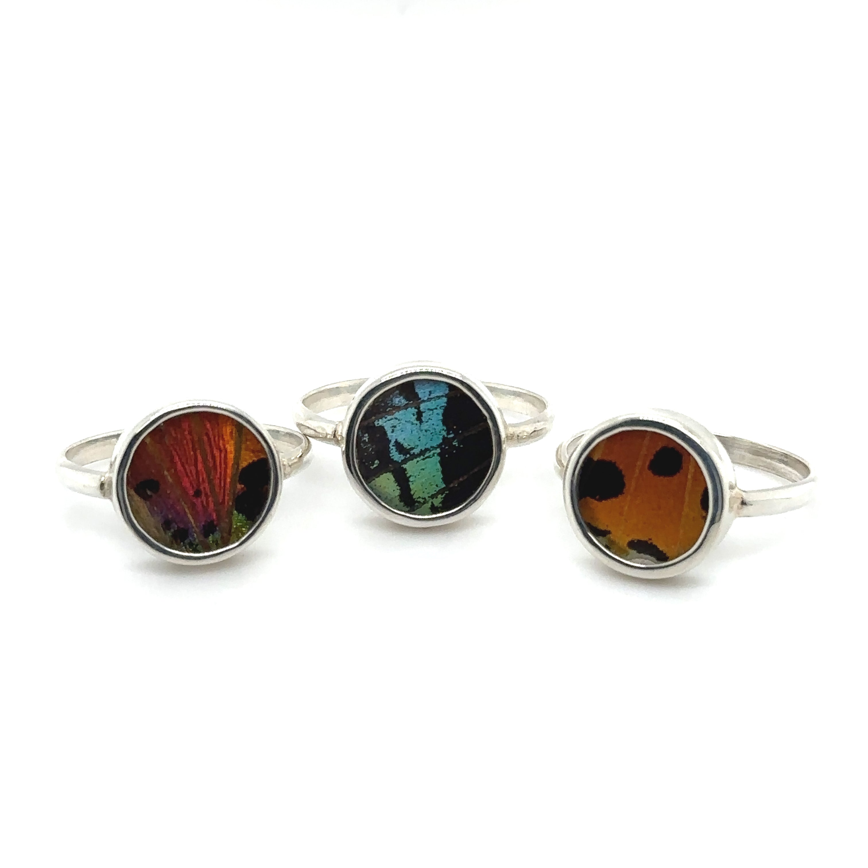 A colorful set of three Butterfly Wing Rings in Circle Shape with different colored glass.