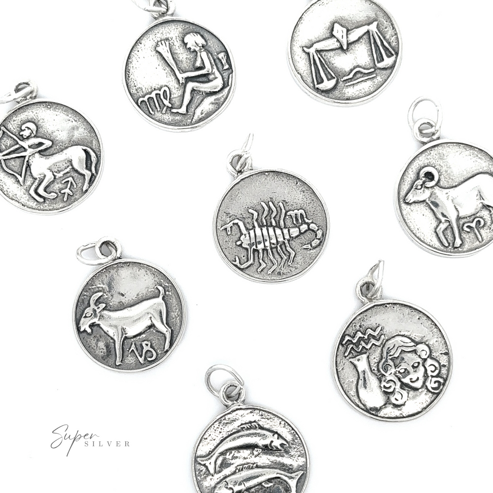 A collection of Zodiac Sign Medallion Charms displayed against a white background, symbolizing cosmic identity.