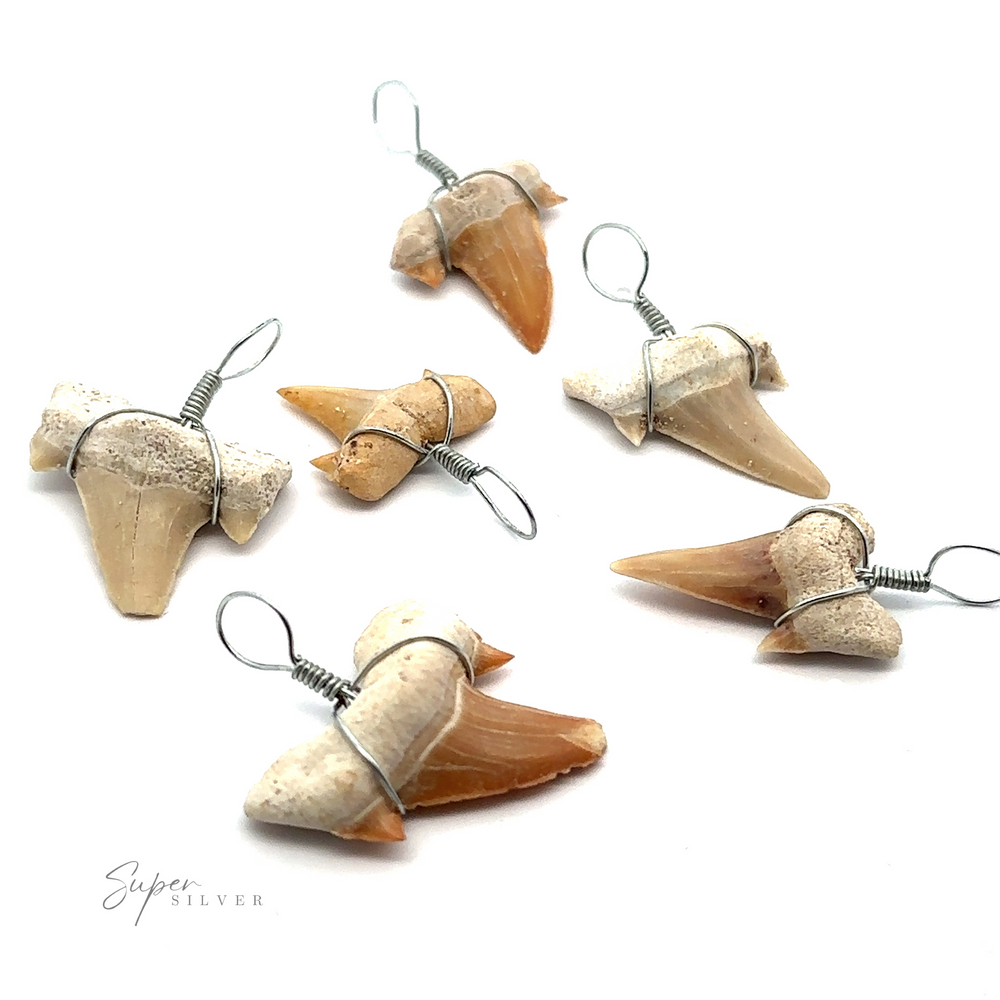 Six Sharks Tooth Wire Wrapped Pendants wrapped in mixed metal wire, arranged on a white background, with a logo reading 