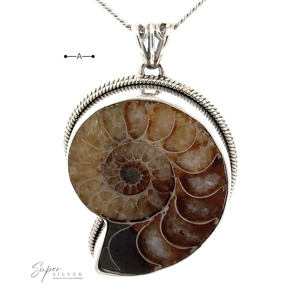 A Nautilus Pendant featuring a polished ammonite fossil with a spiral shell pattern, perfect for those who appreciate the unique beauty of nautilus pendants.