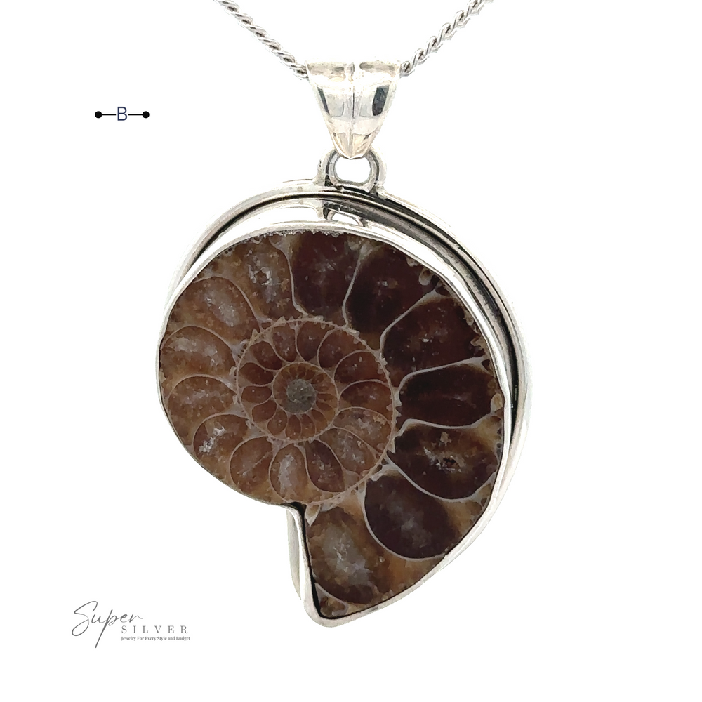 
                  
                    A chain necklace with a Nautilus Pendant featuring a fossilized ammonite set in sterling silver.
                  
                