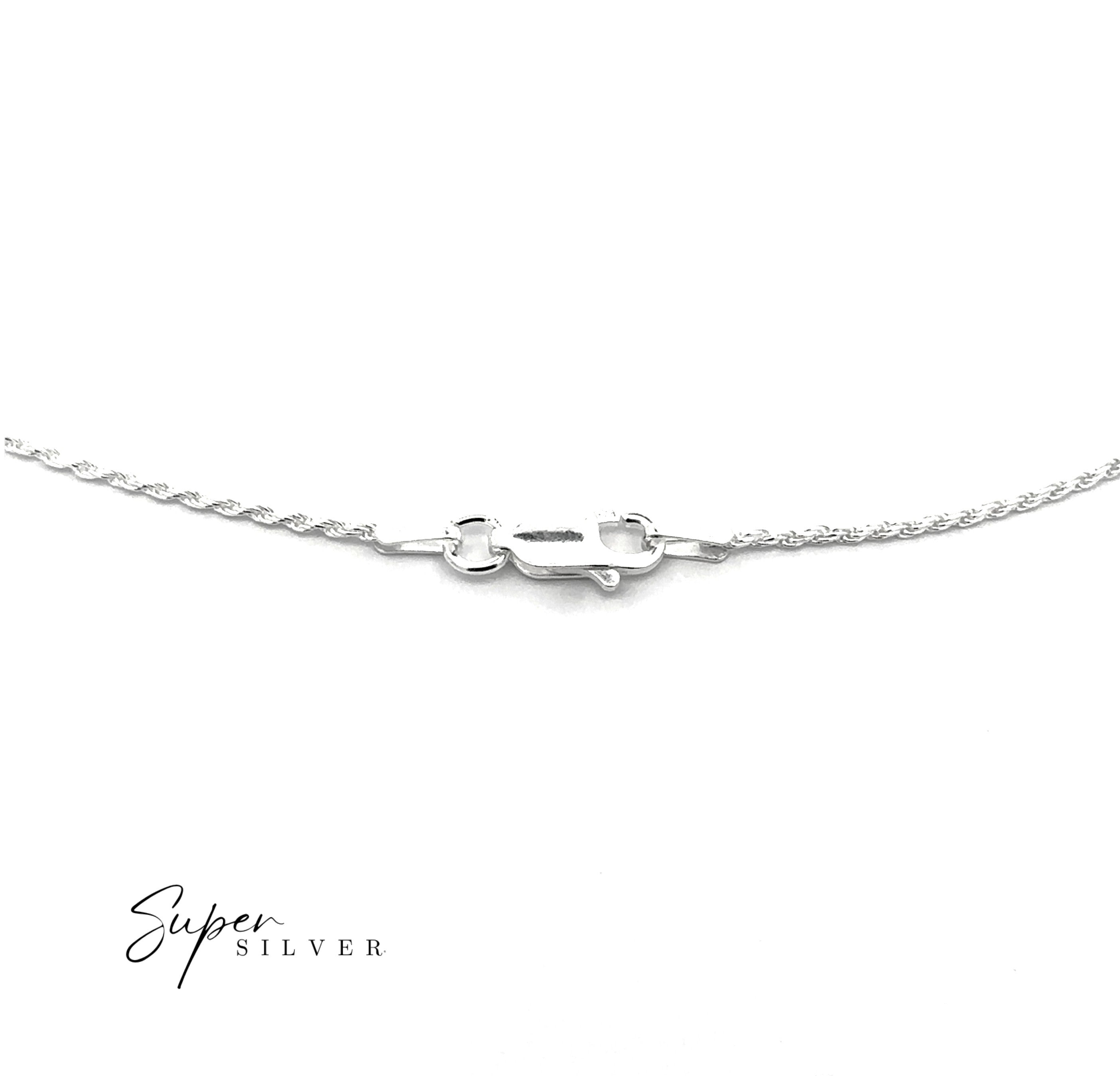 Close-up of the Delicate Italian D/C Rope Chain, a diamond-cut sterling silver necklace with a lobster clasp, displayed on a white background. "Super Silver" logo appears in the lower left corner.