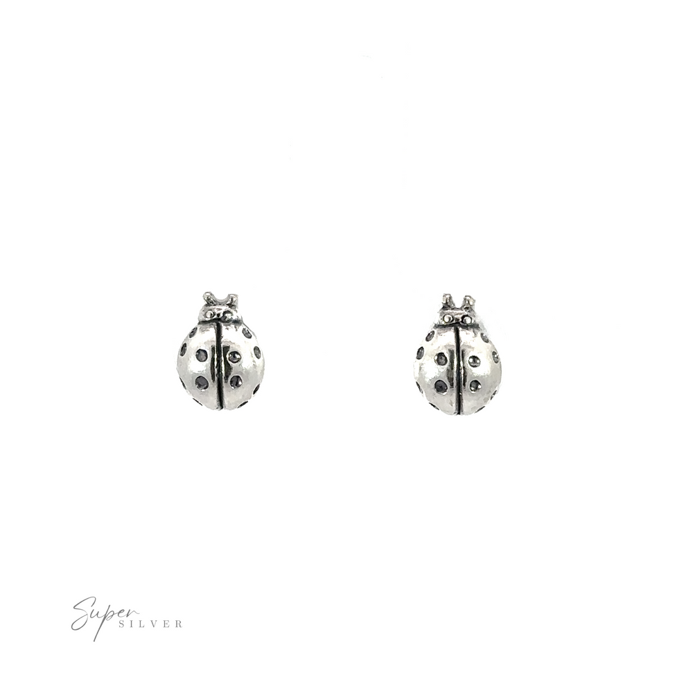 A pair of Ladybug Studs on a white background.