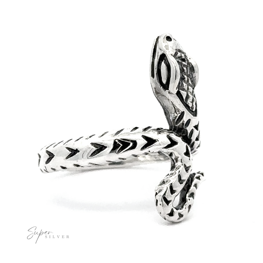 Captivating Snake Ring with detailed scale texture and coiled design, displayed against a white background.