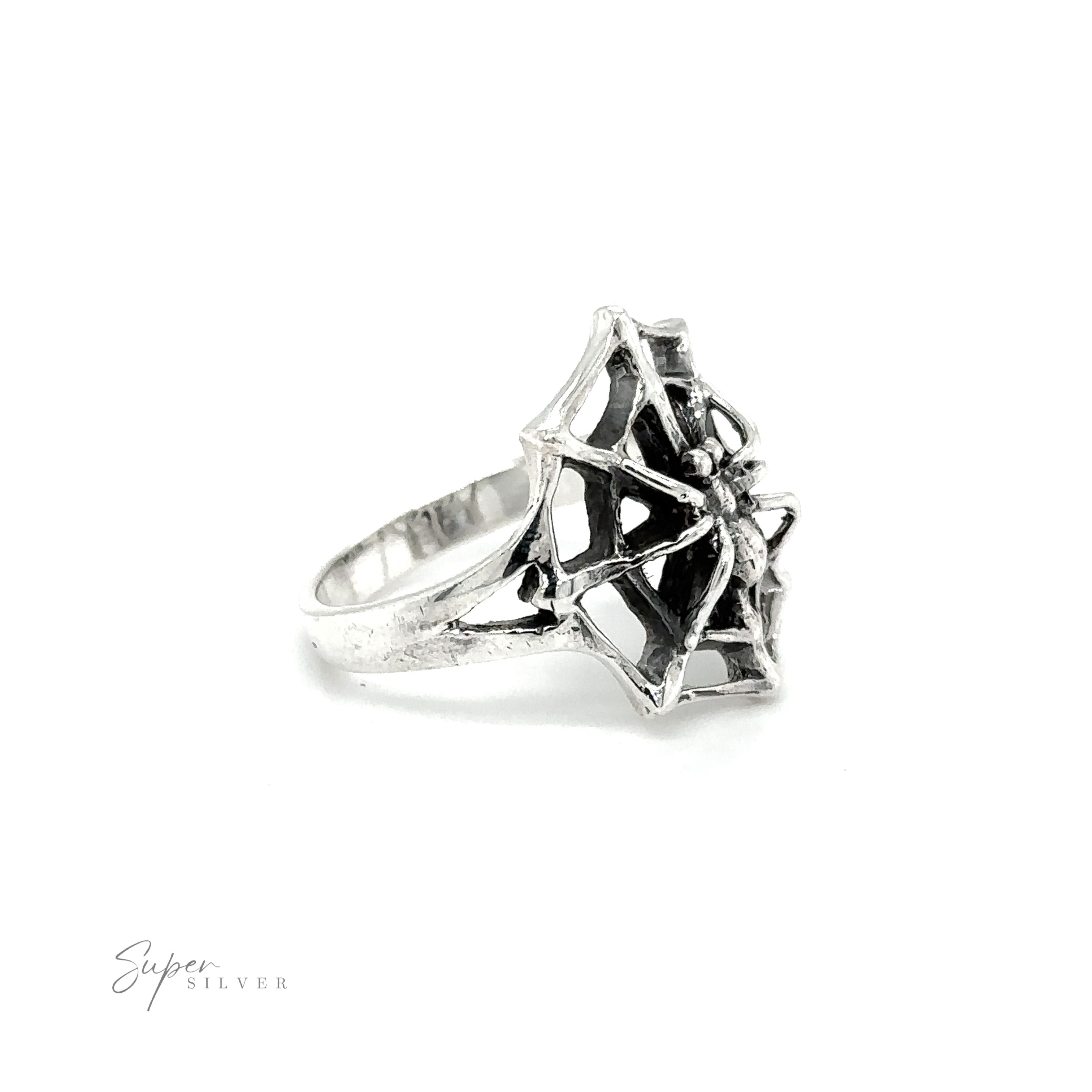 A Spider on Web Ring on a white background.