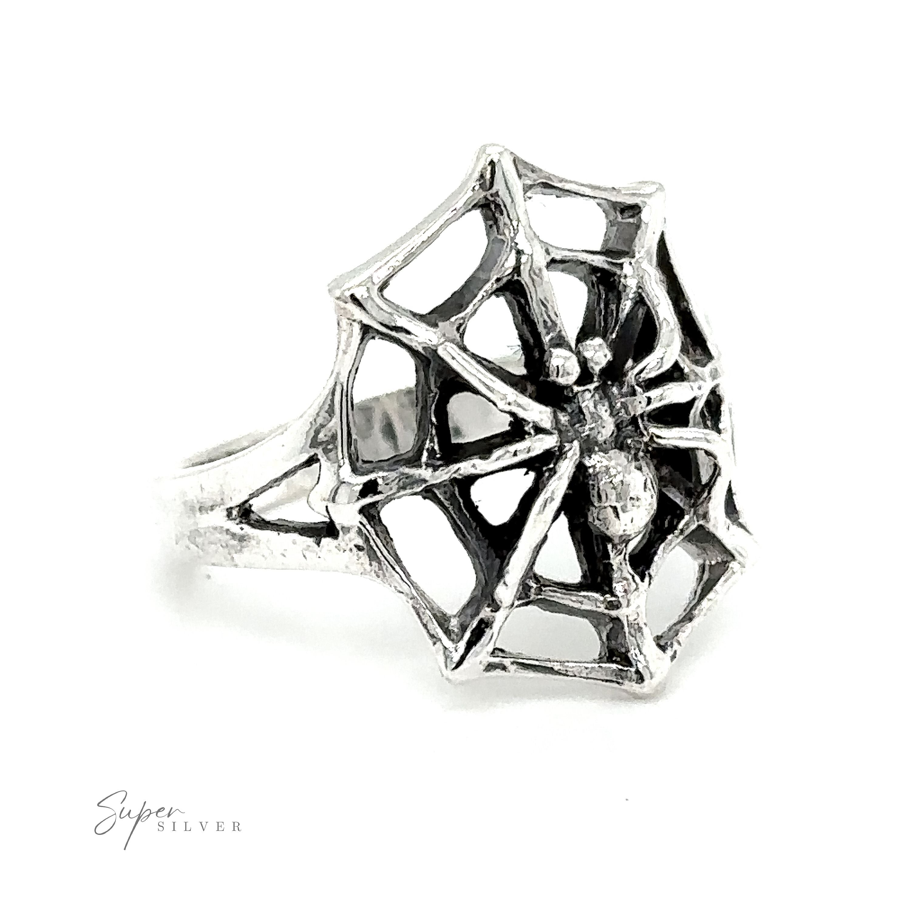 A Spider on Web Ring on a white background.