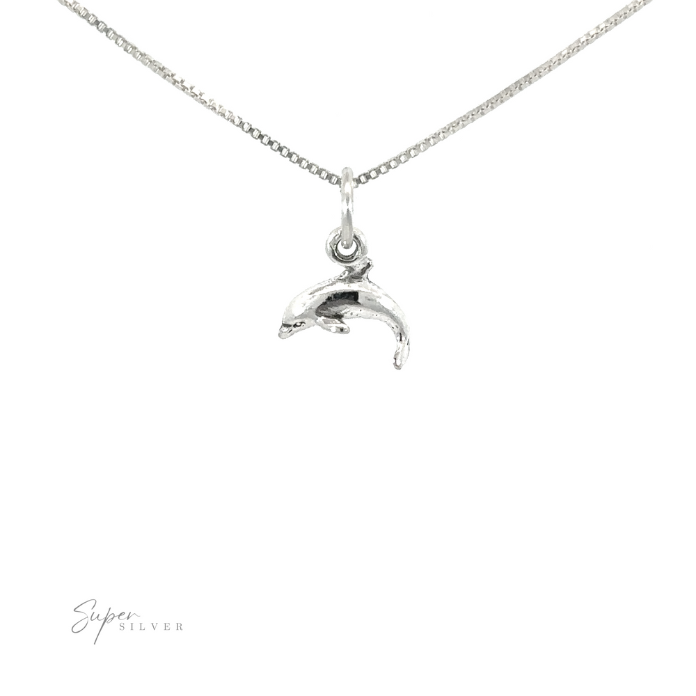 A small Tiny Dolphin Charm pendant on a silver chain, perfect for those who love minimalist style.