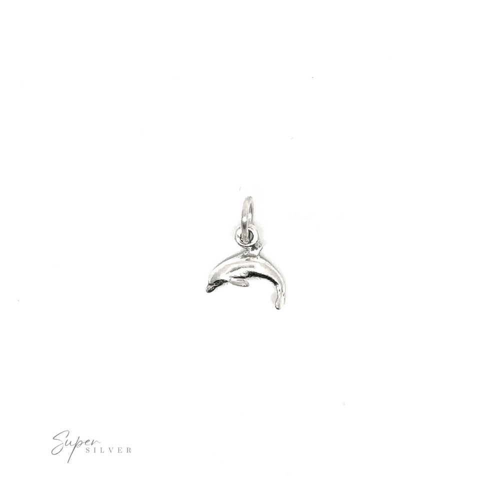 
                  
                    A minimalist style Tiny Dolphin Charm on a white background.
                  
                
