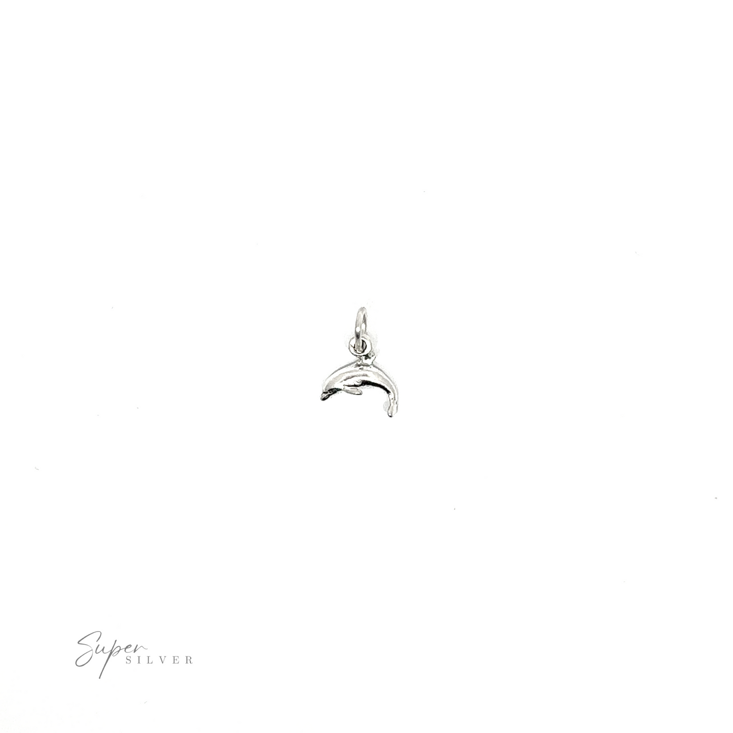 
                  
                    A Tiny Dolphin Charm on a minimalist background.
                  
                