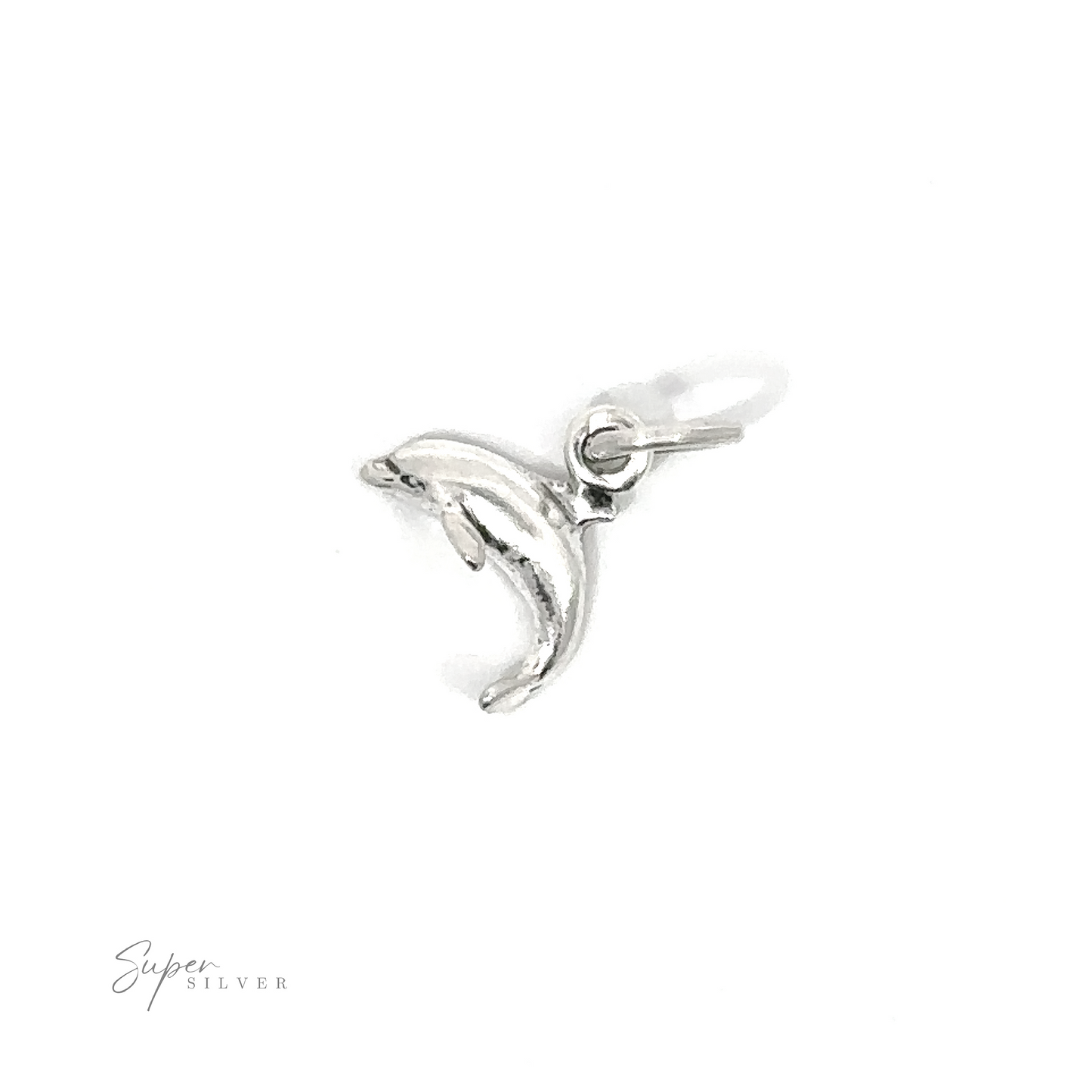 A Tiny Dolphin Charm on a white background.