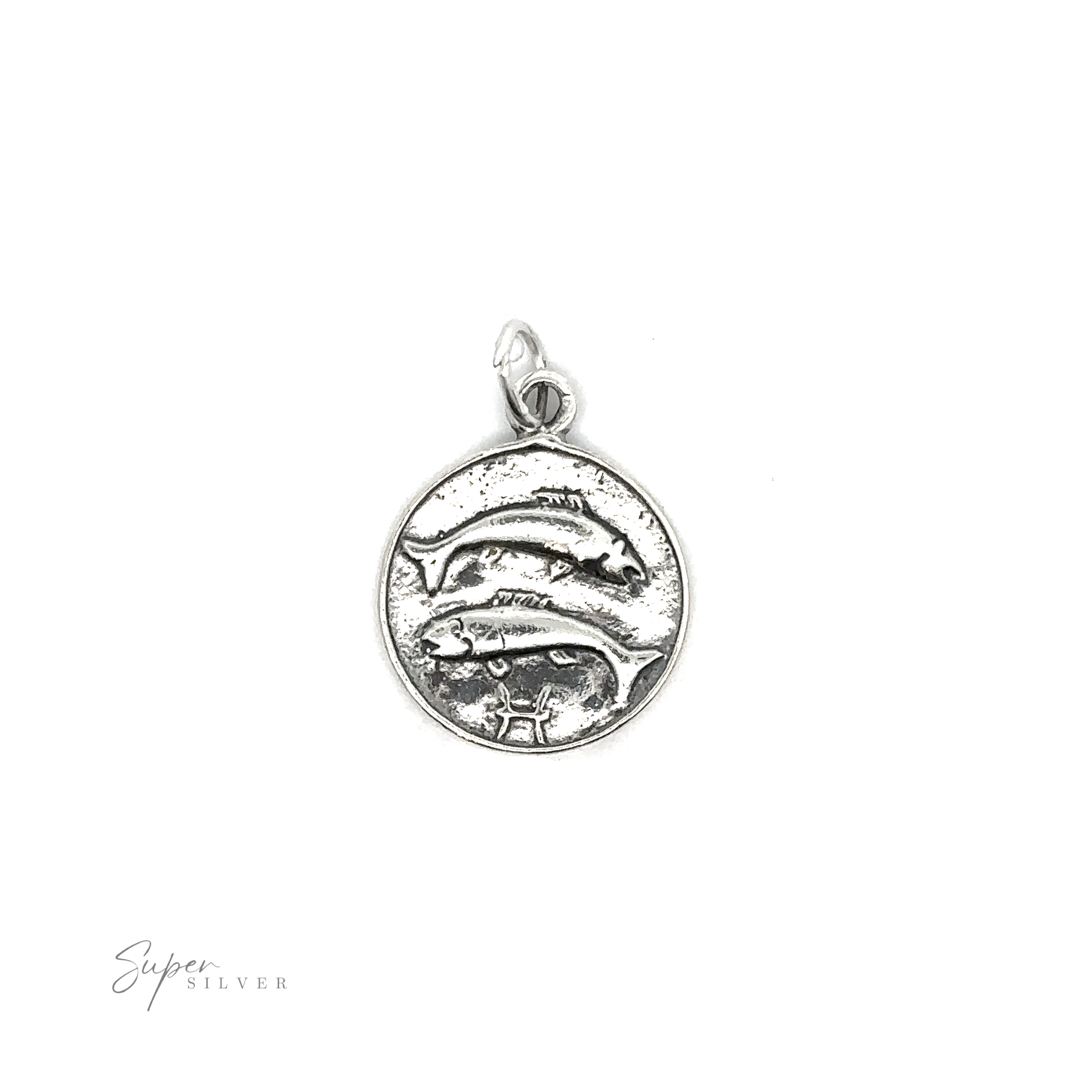 Sterling silver Zodiac Sign Medallion Charms dolphin-themed pendant on a white background.
