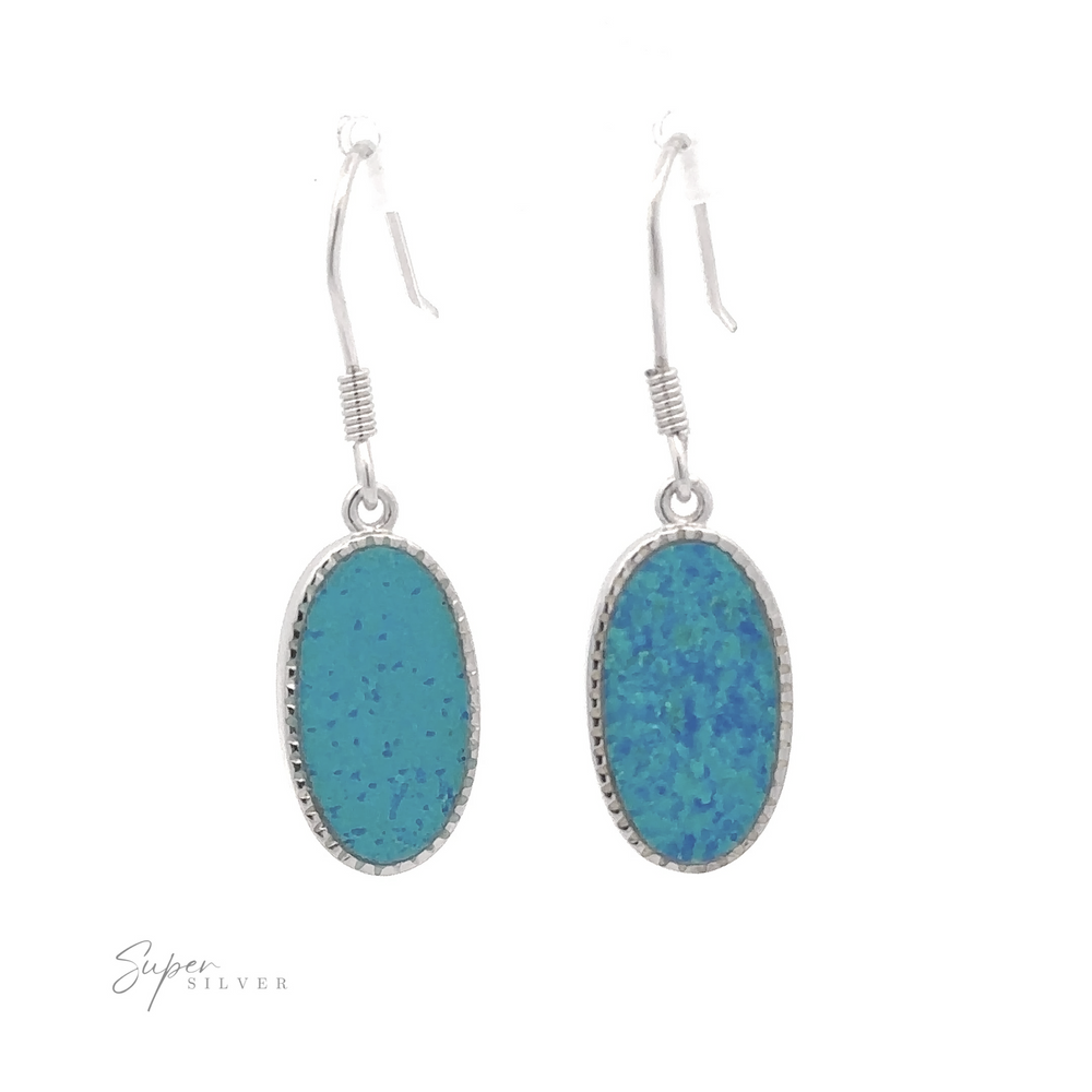 
                  
                    AA (EMMA T 7/27 FAIT) Boucles d'oreilles pendantes ovales en opale bleue
                  
                