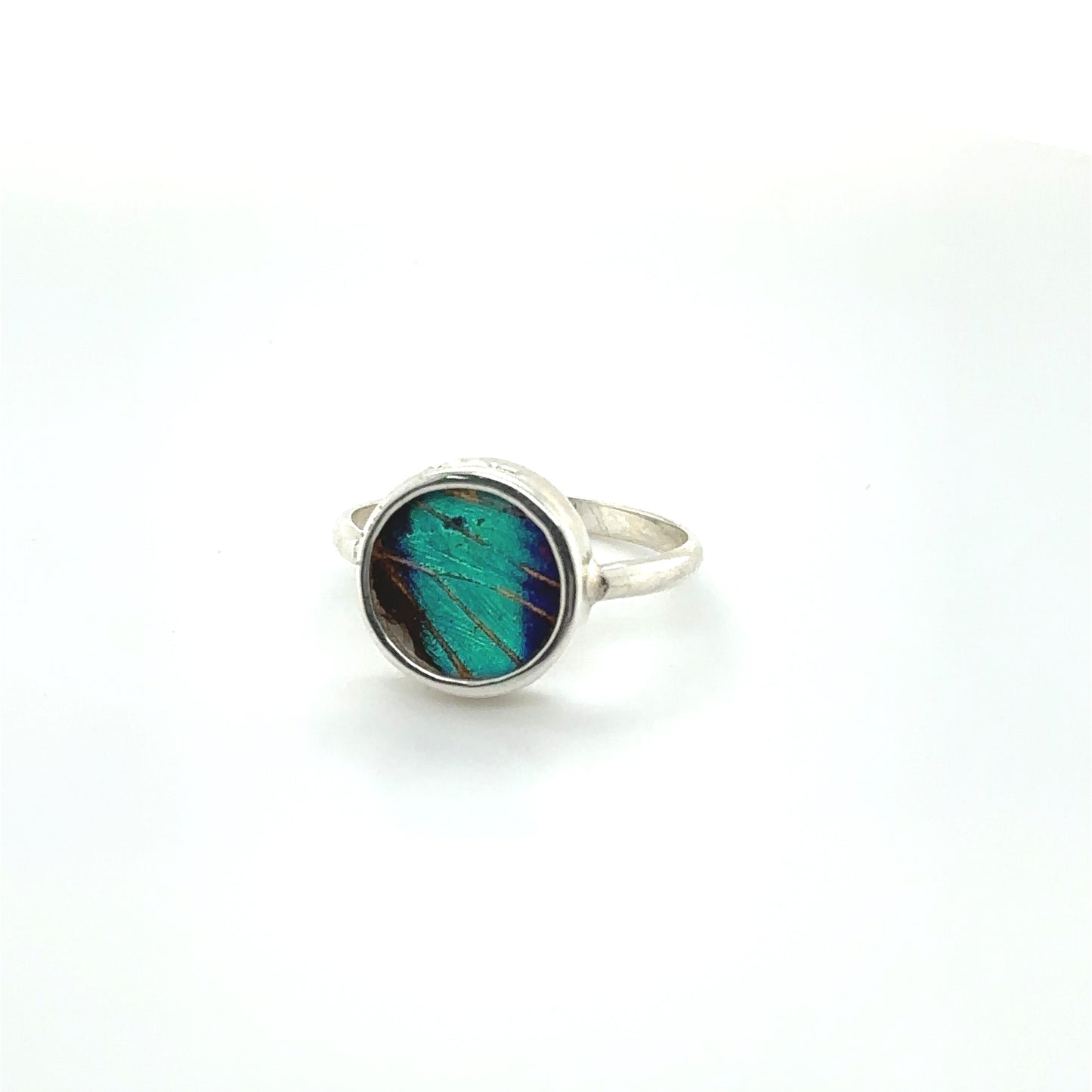 
                  
                    A colorful silver Butterfly Wing Ring in Circle Shape with a blue and green butterfly on it.
                  
                