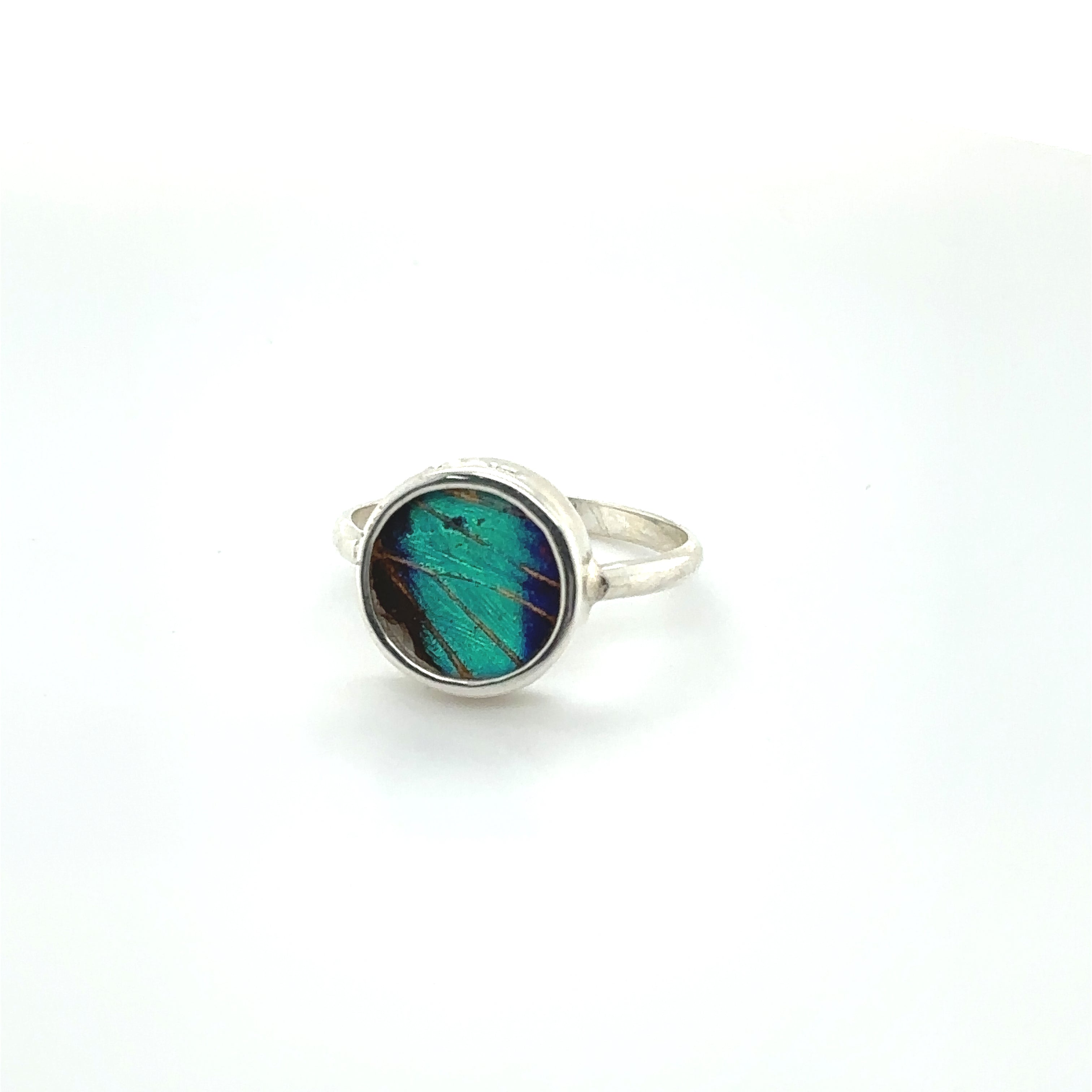 A colorful silver Butterfly Wing Ring in Circle Shape with a blue and green butterfly on it.