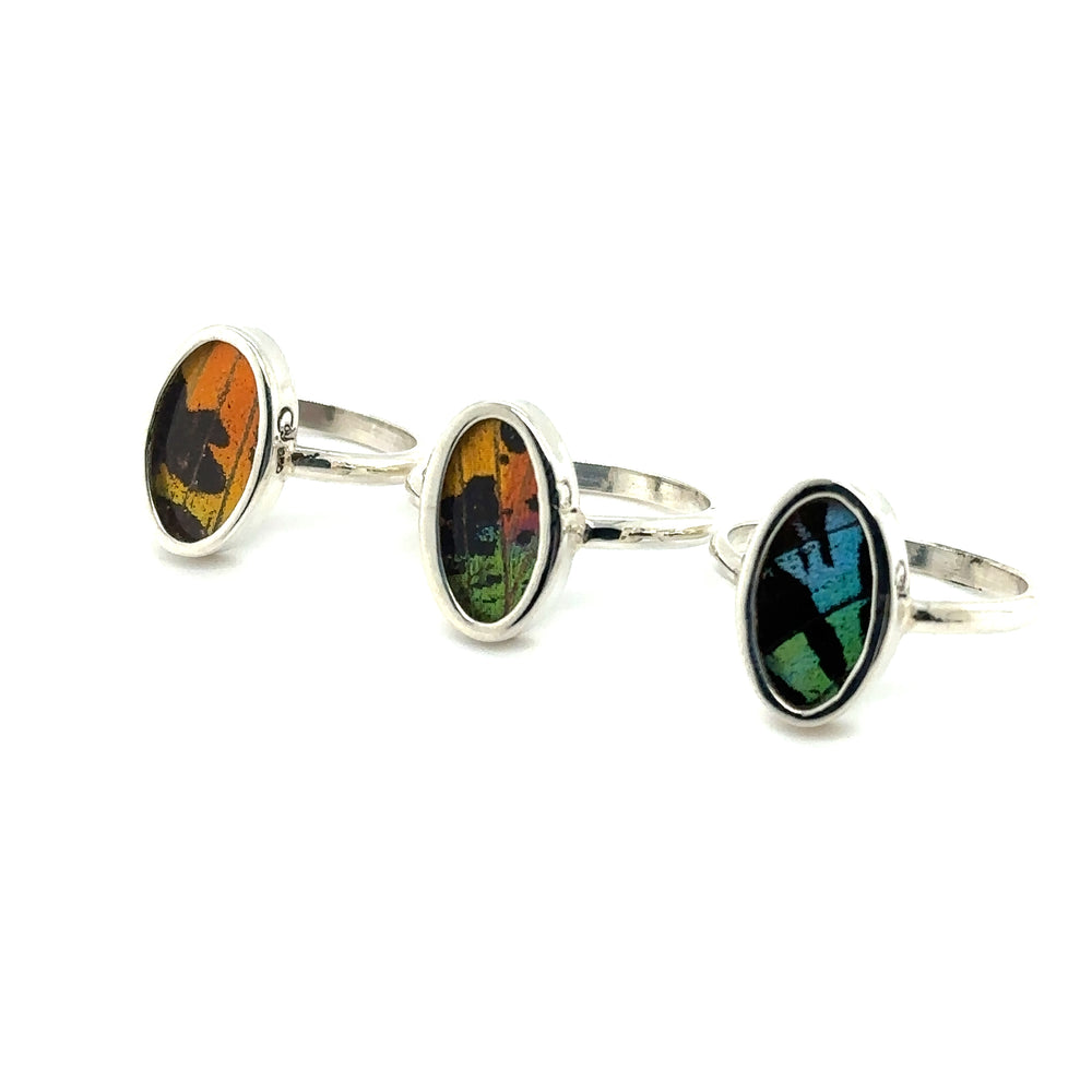 Three Genuine Butterfly Wing Rings in Oval Shape with vibrant illustrations.