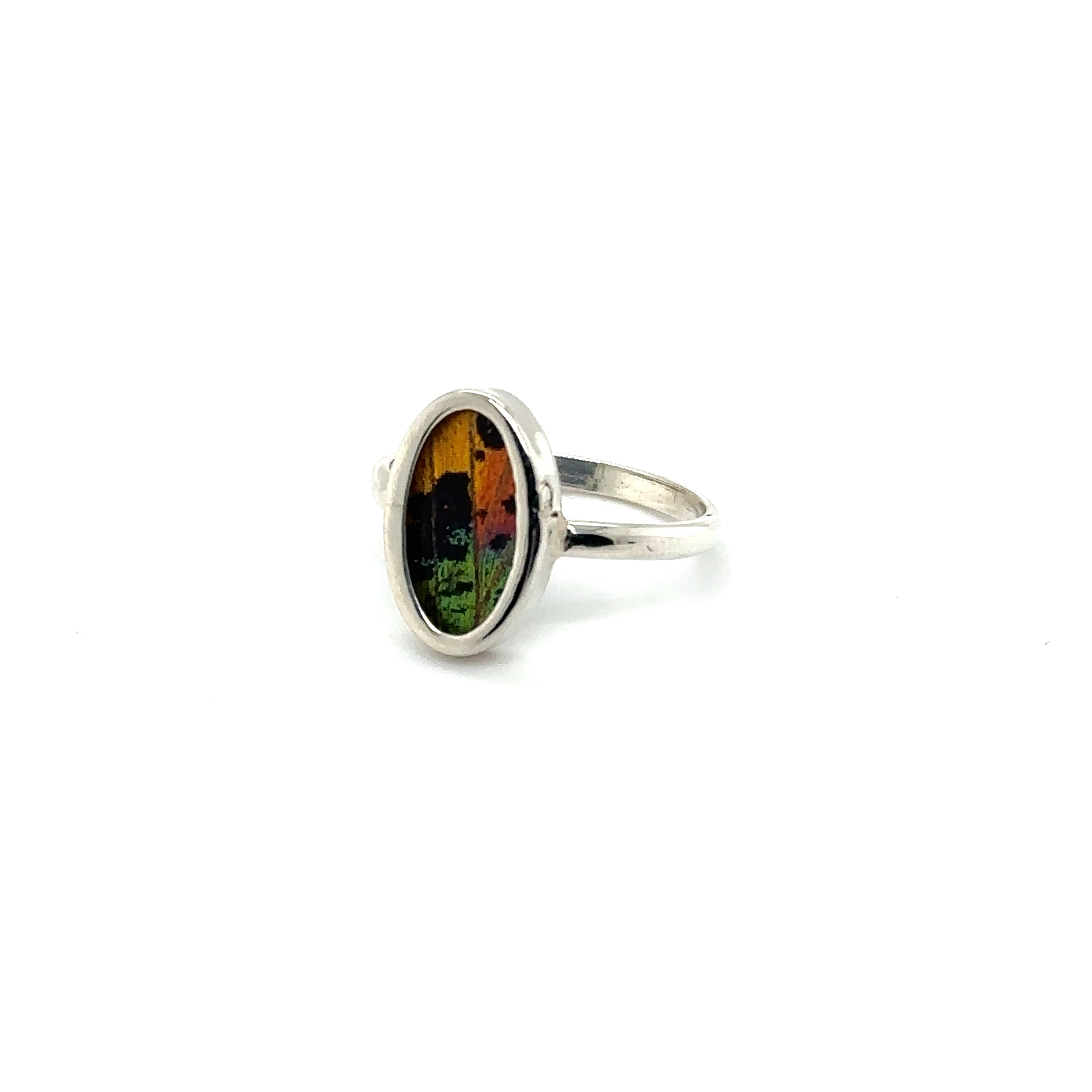 A Genuine Butterfly Wing Ring in Oval Shape with a vibrant gemstone at its center.