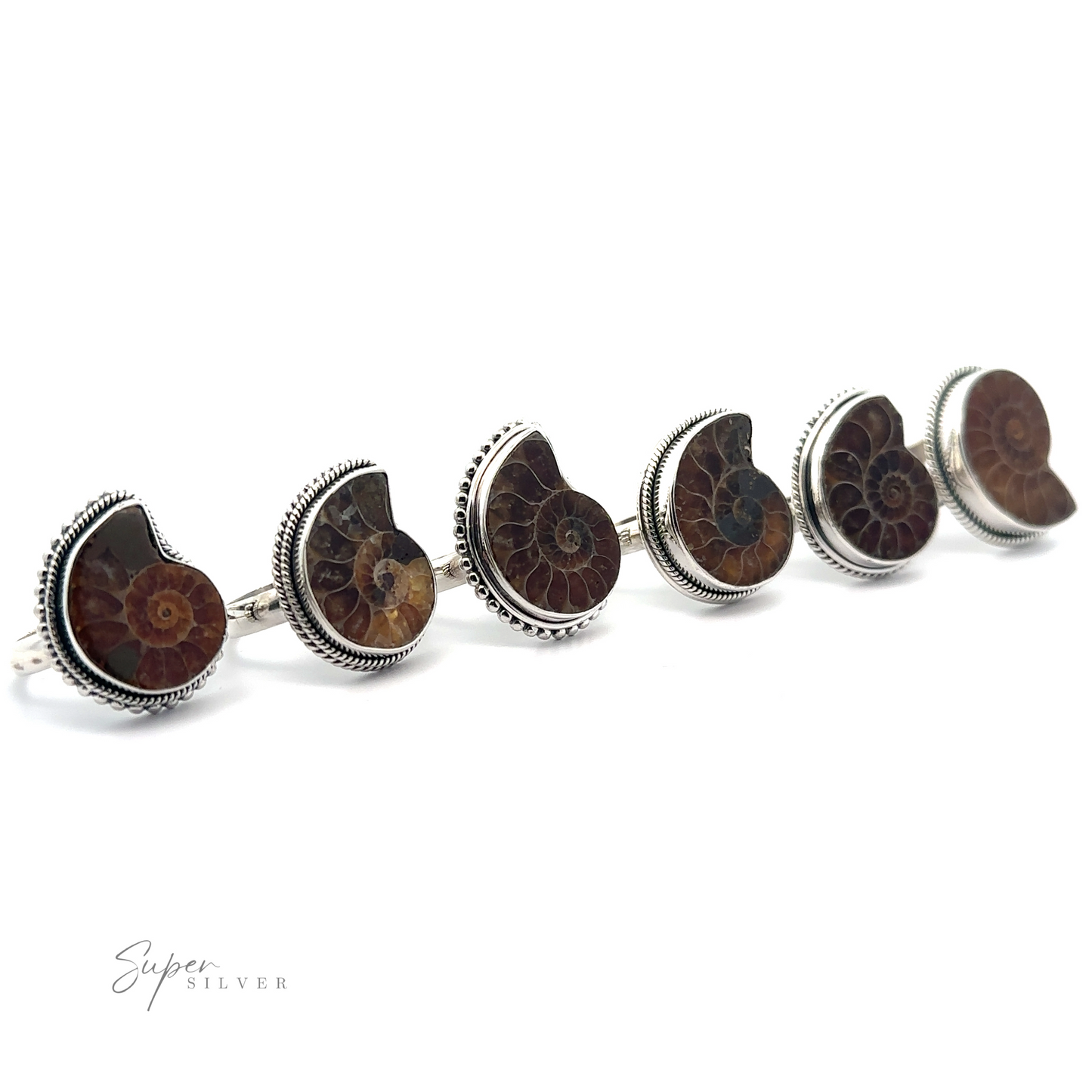 
                  
                    A collection of sterling silver Beautiful Nautilus Shell Rings displayed in a row against a white background.
                  
                