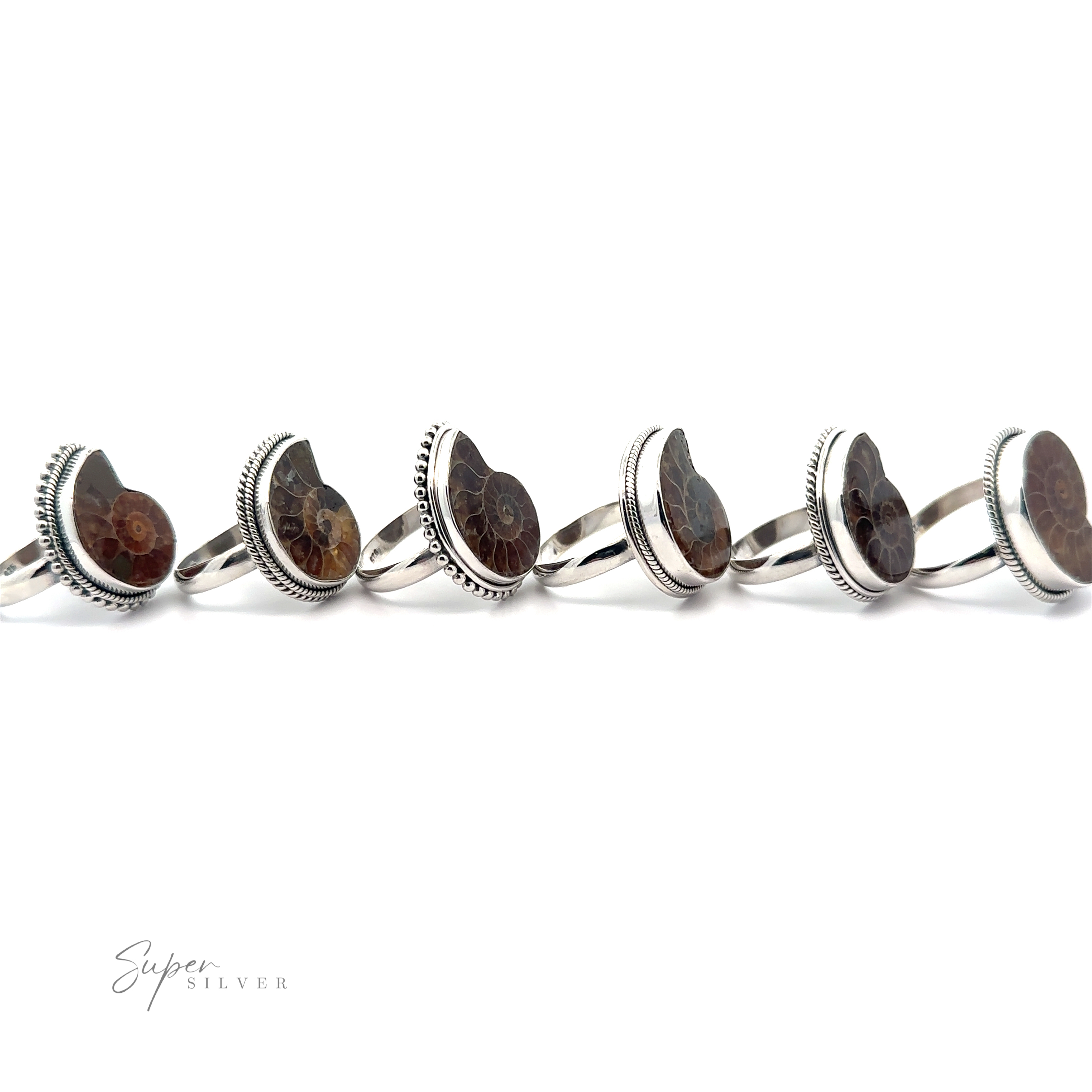 A row of Beautiful Nautilus Shell Rings, showcasing natural variation, is displayed against a white background.
