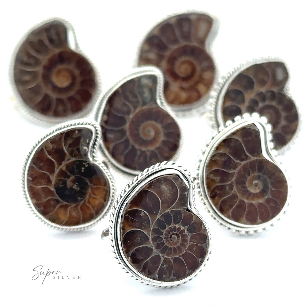 A collection of sterling silver jewelry pieces with Beautiful Nautilus Shell Ring inlays showcasing natural variation.