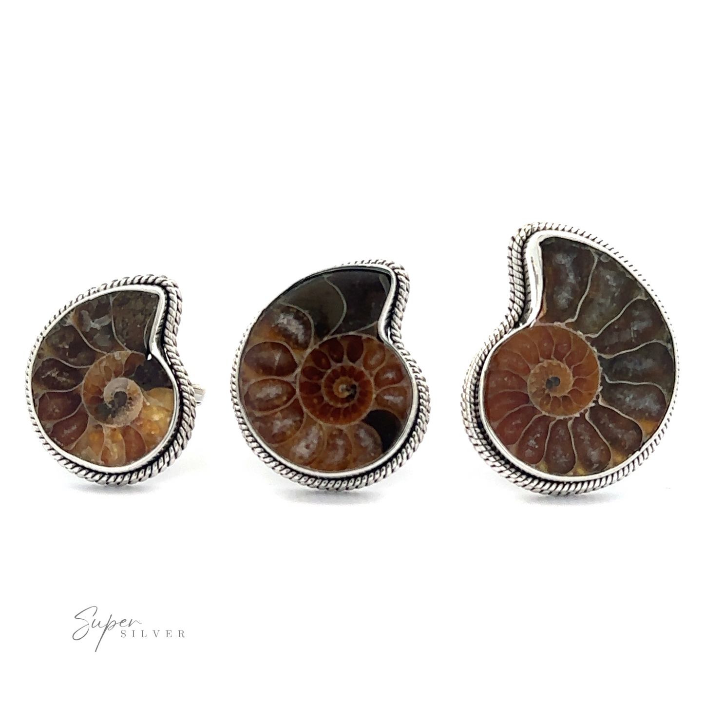 A set of three fossilized nautilus shell pieces set in sterling silver, displayed as Beautiful Nautilus Shell Ring jewelry.