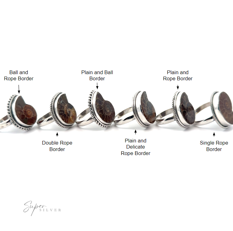 A collection of Beautiful Nautilus Shell Rings with fossilized insets, each featuring different border designs and natural variation.