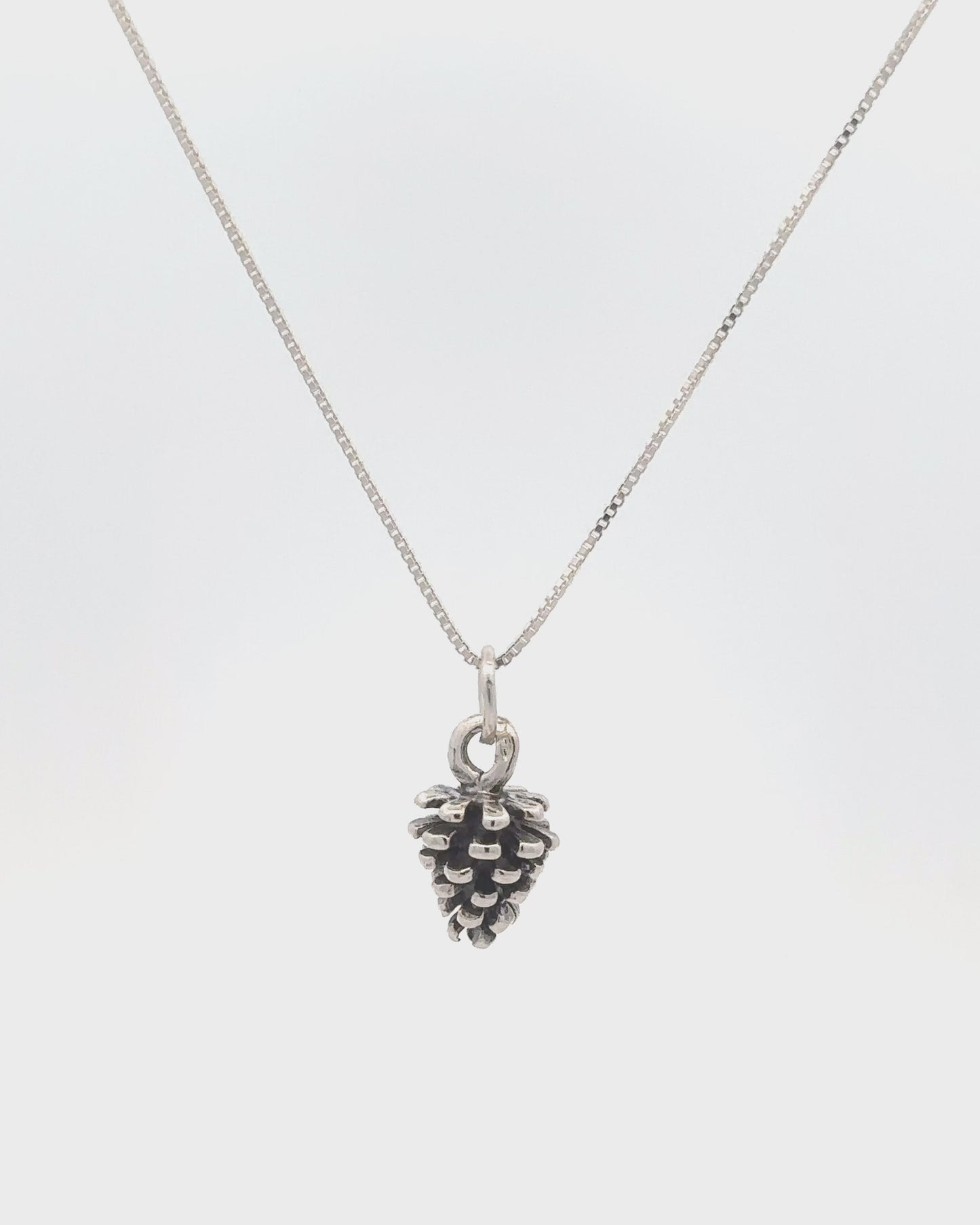 
                  
                    Load and play video in Gallery viewer, Pinecone Pendant
                  
                