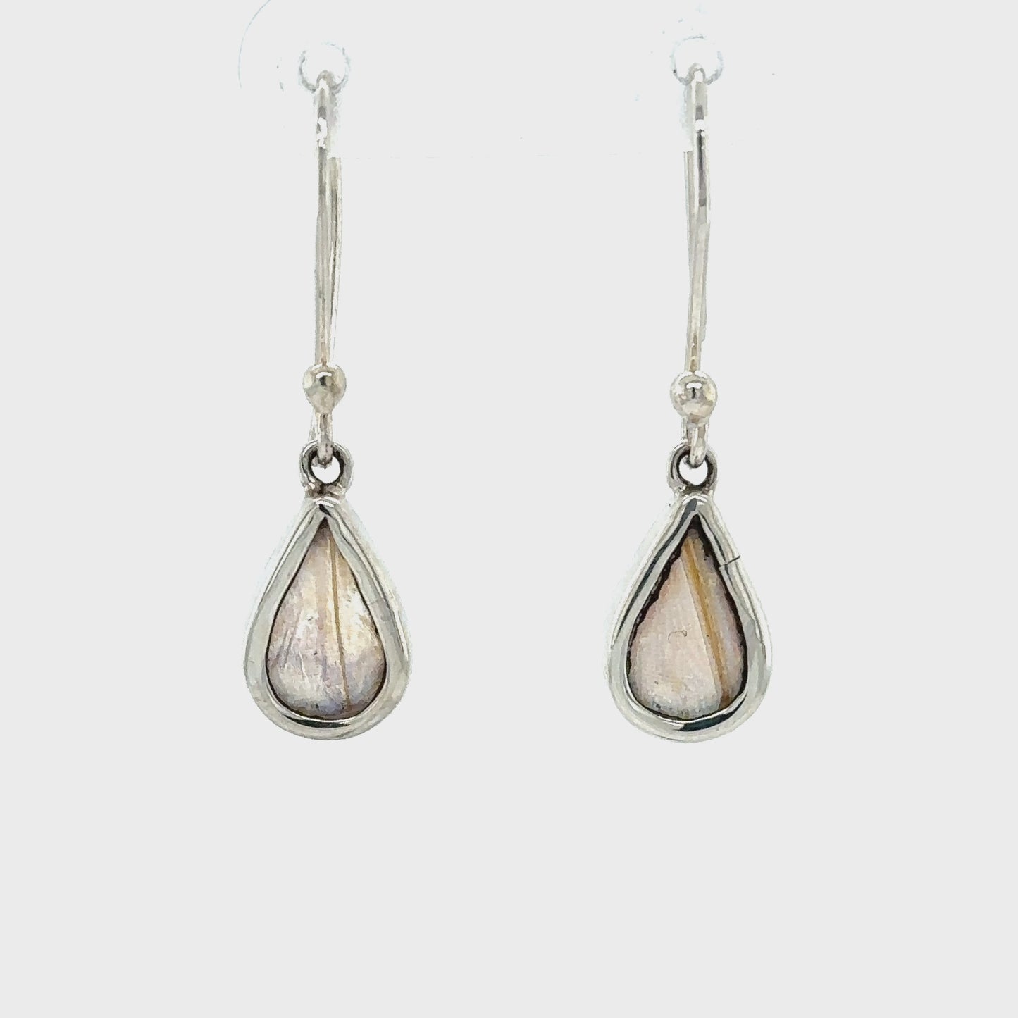 
                  
                    Load and play video in Gallery viewer, Small Butterfly Wing Earrings
                  
                