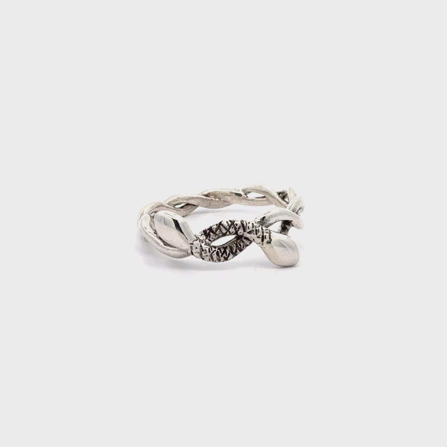 
                  
                    Load and play video in Gallery viewer, Intertwining Silver Snake Ring
                  
                
