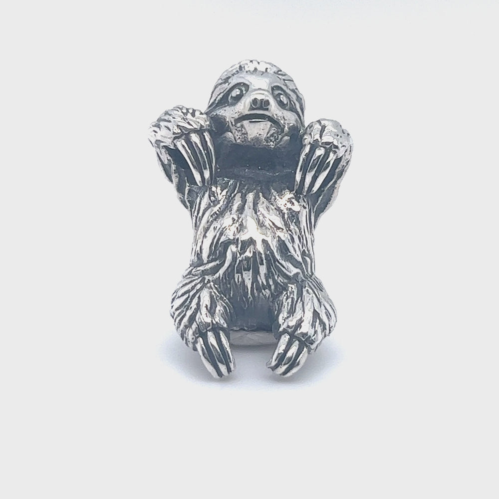 
                  
                    Load and play video in Gallery viewer, Sloth Pendant
                  
                