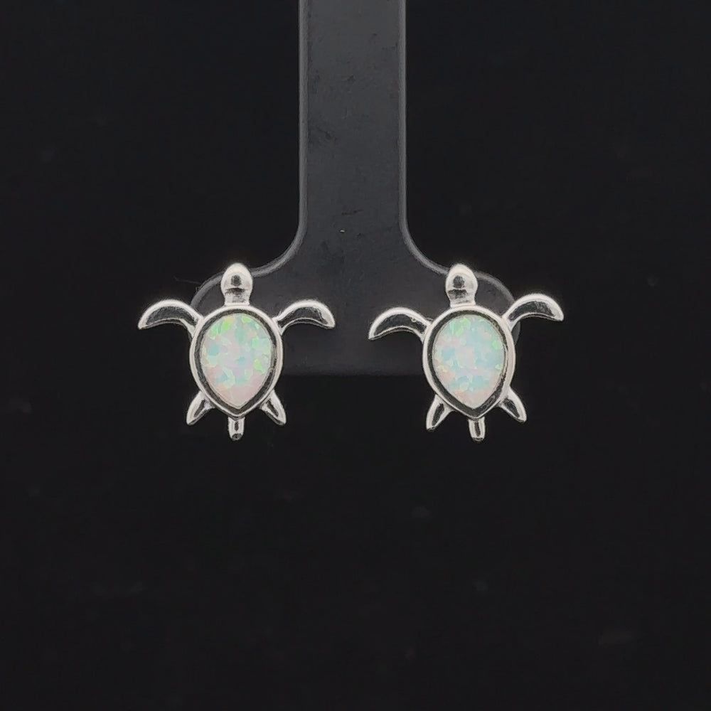 
                  
                    Load and play video in Gallery viewer, Simple Lab-Created Opal Turtle Studs
                  
                