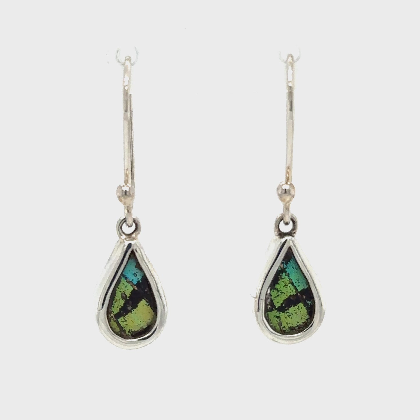 
                  
                    Load and play video in Gallery viewer, Small Butterfly Wing Earrings
                  
                